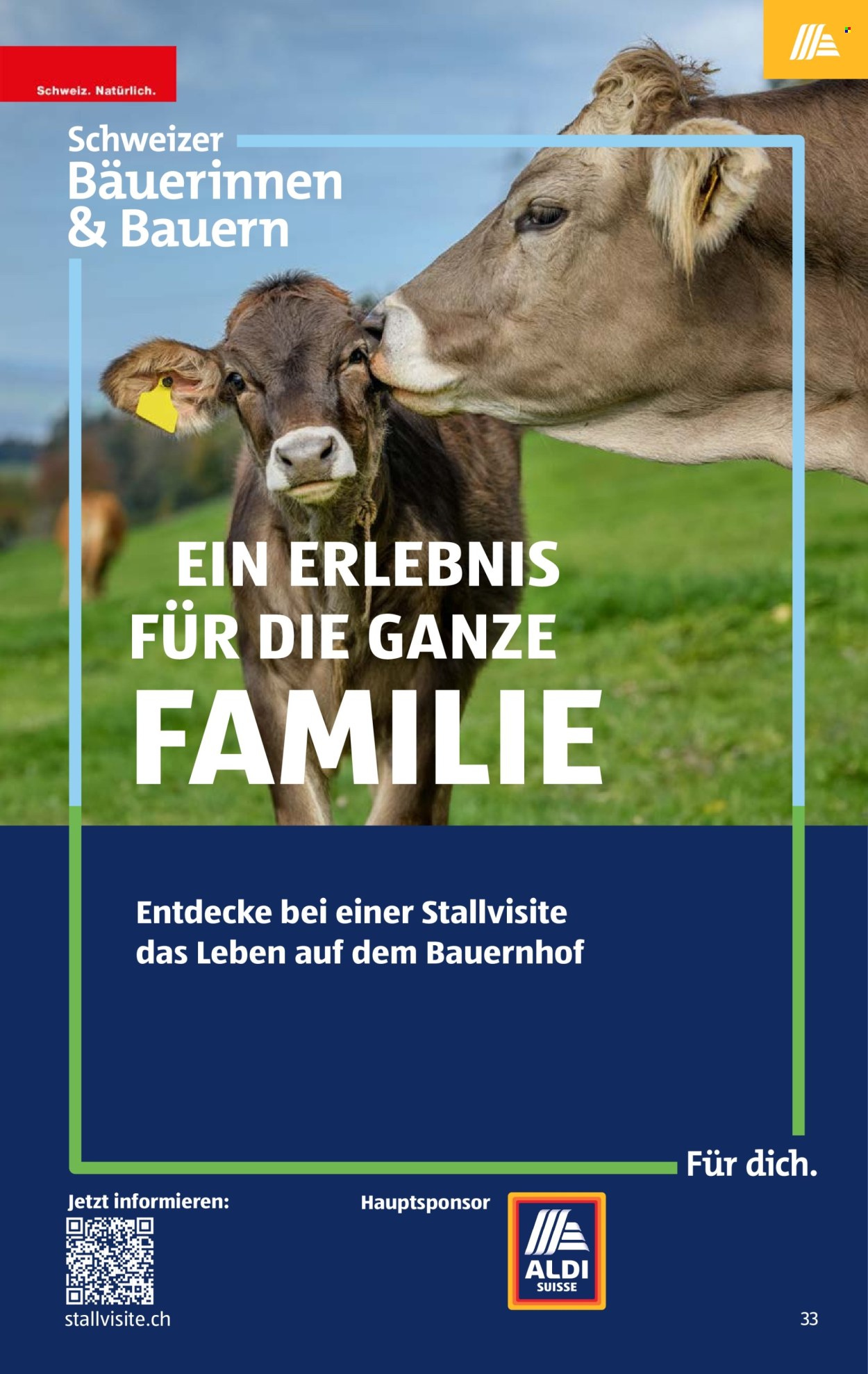 Prospekt Aldi - 4.6.2026 - 10.6.2026. Seite 37