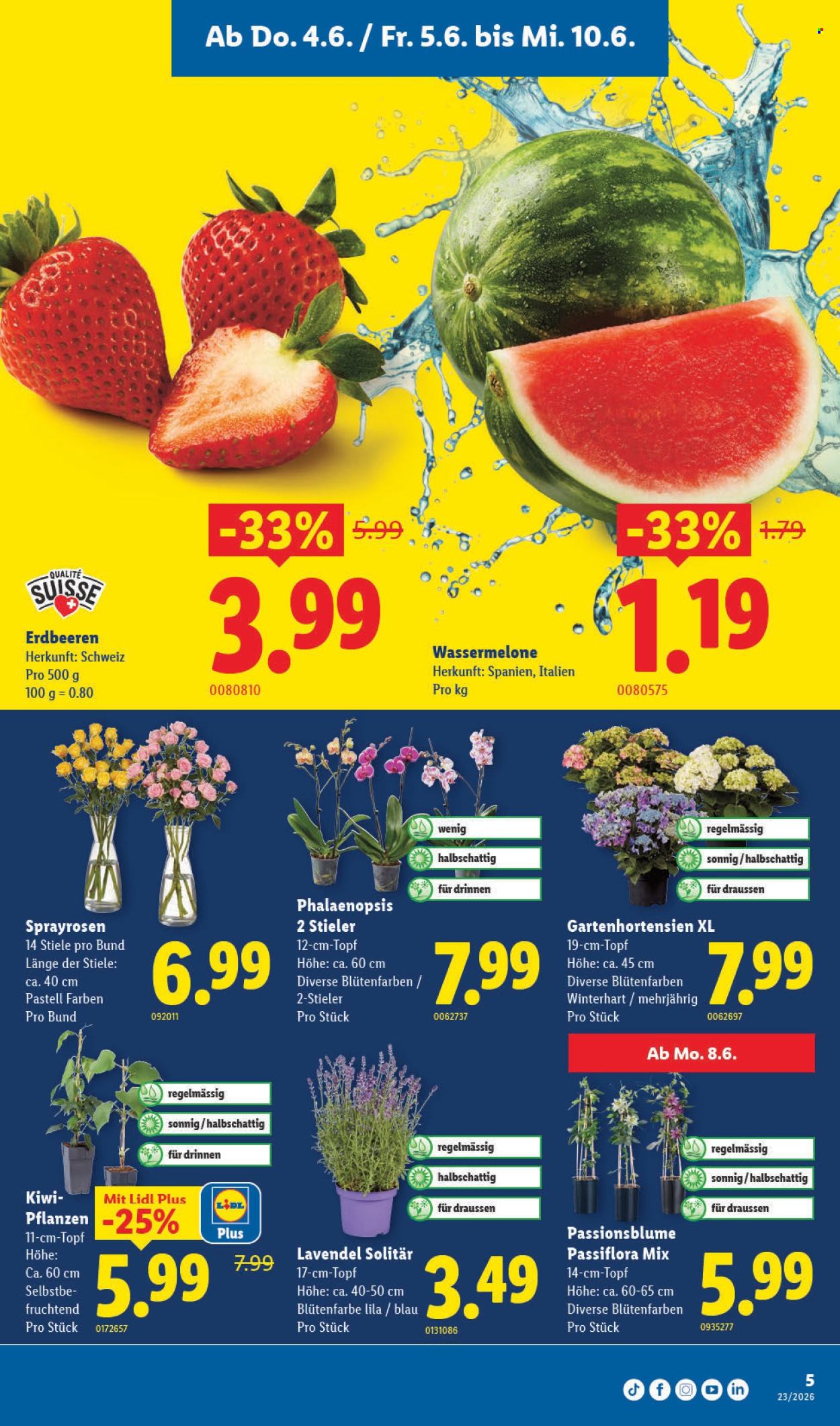 Volantino Lidl - 4.6.2026 - 10.6.2026. Pagina 5