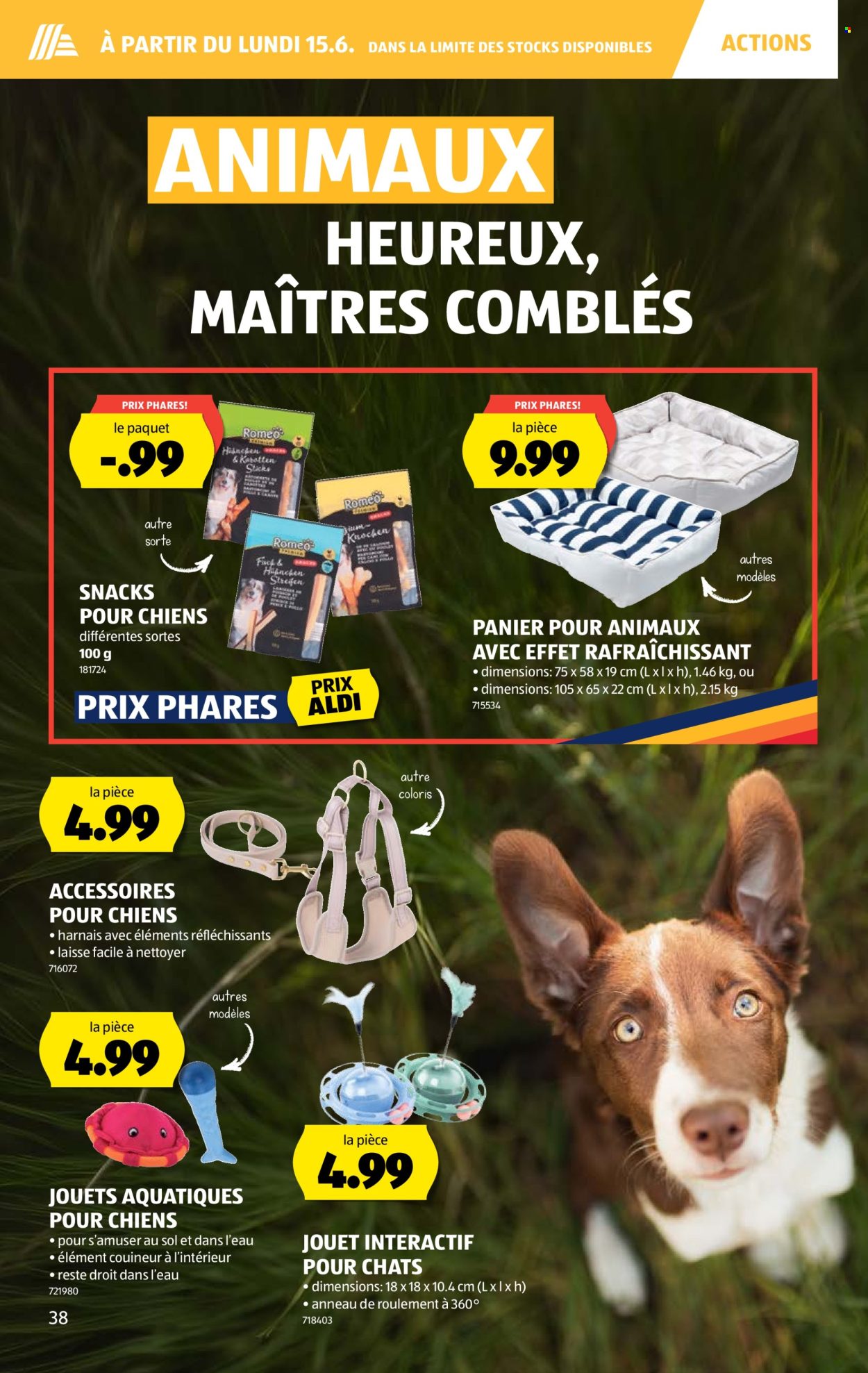 Catalogue Aldi - 11.6.2026 - 17.6.2026. Page 42