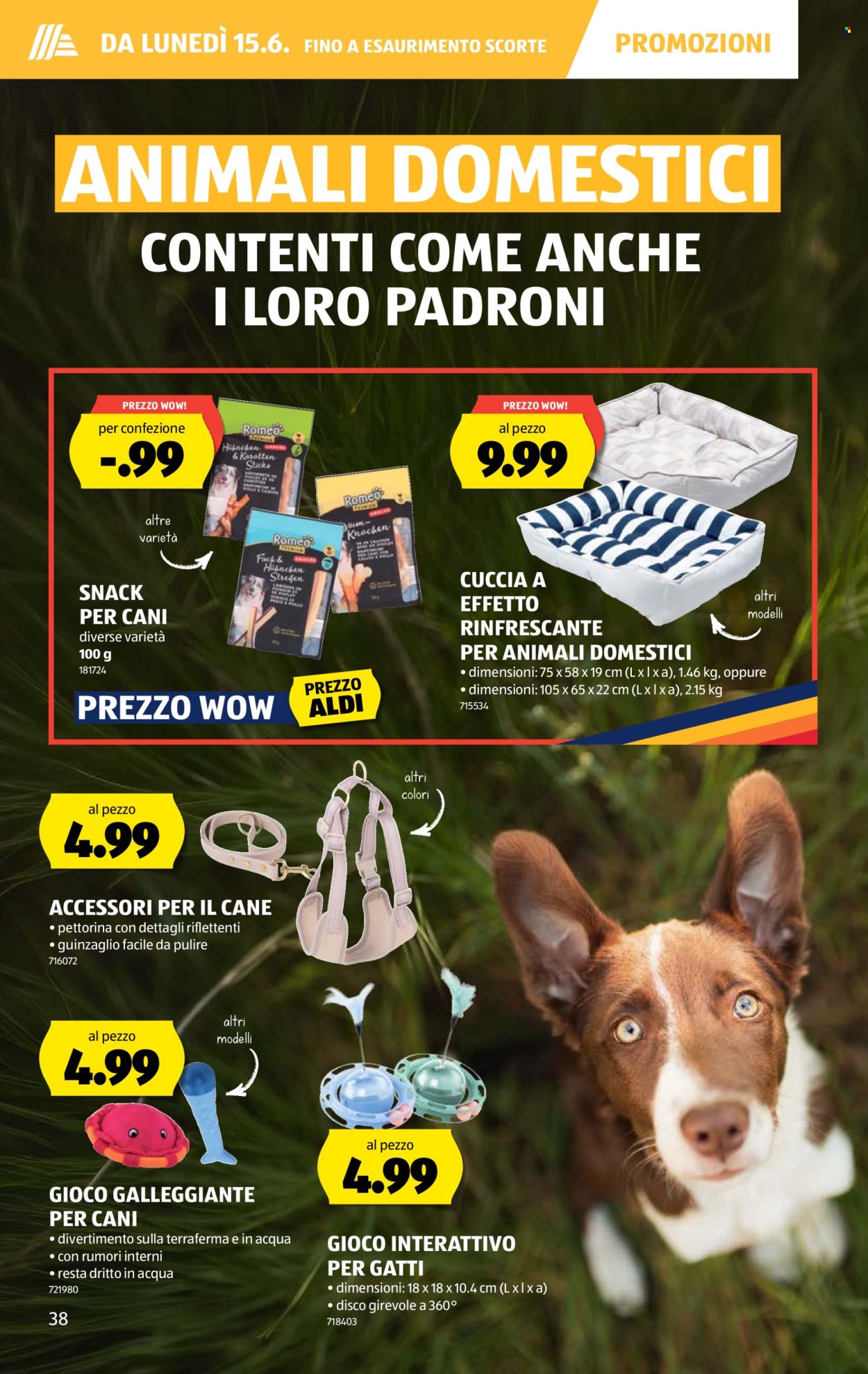 Volantino Aldi - 11.6.2026 - 17.6.2026. Pagina 42