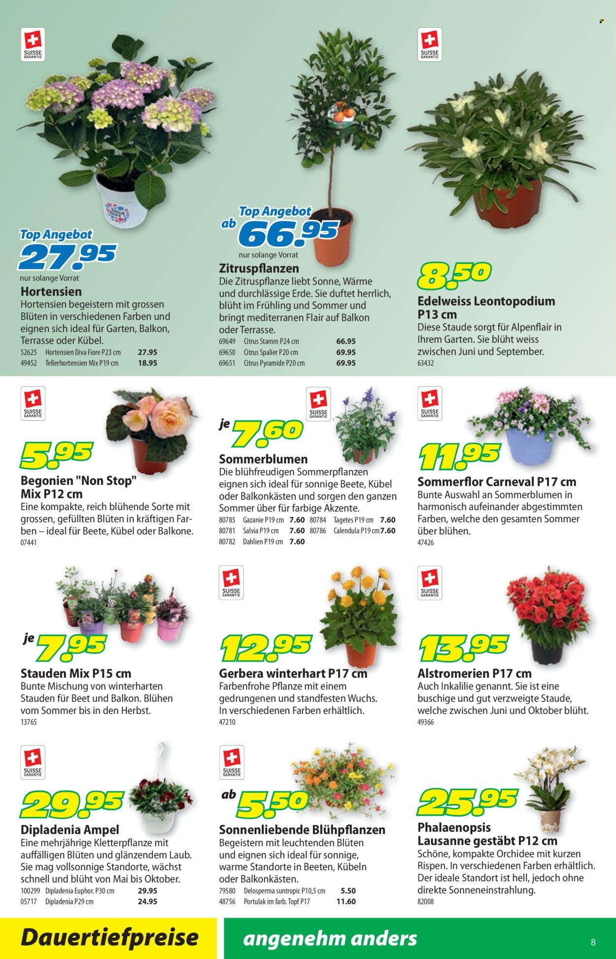 Volantino Landi - 8.6.2026 - 21.6.2026. Pagina 12