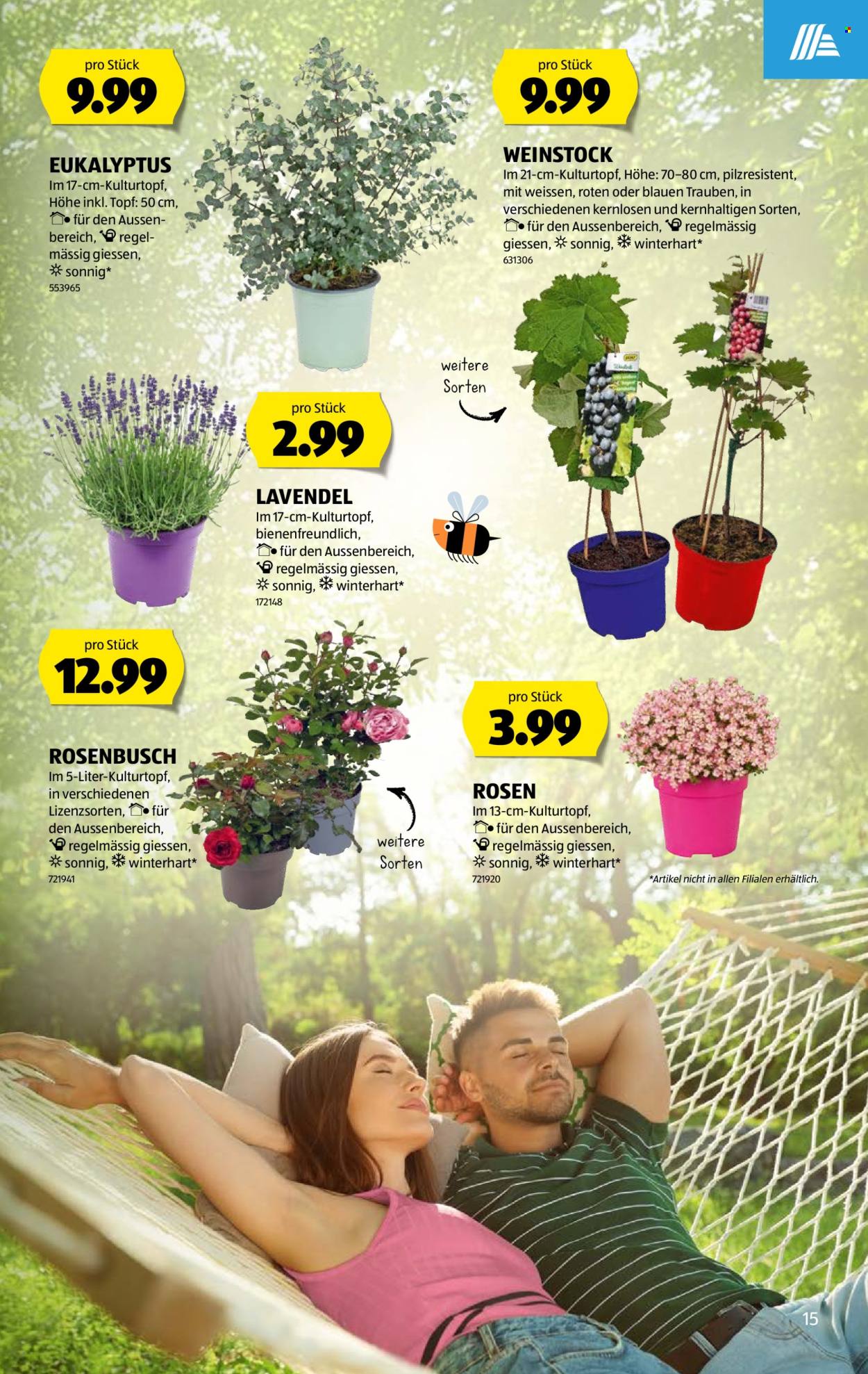 Catalogue Aldi - 18.6.2026 - 24.6.2026. Page 15