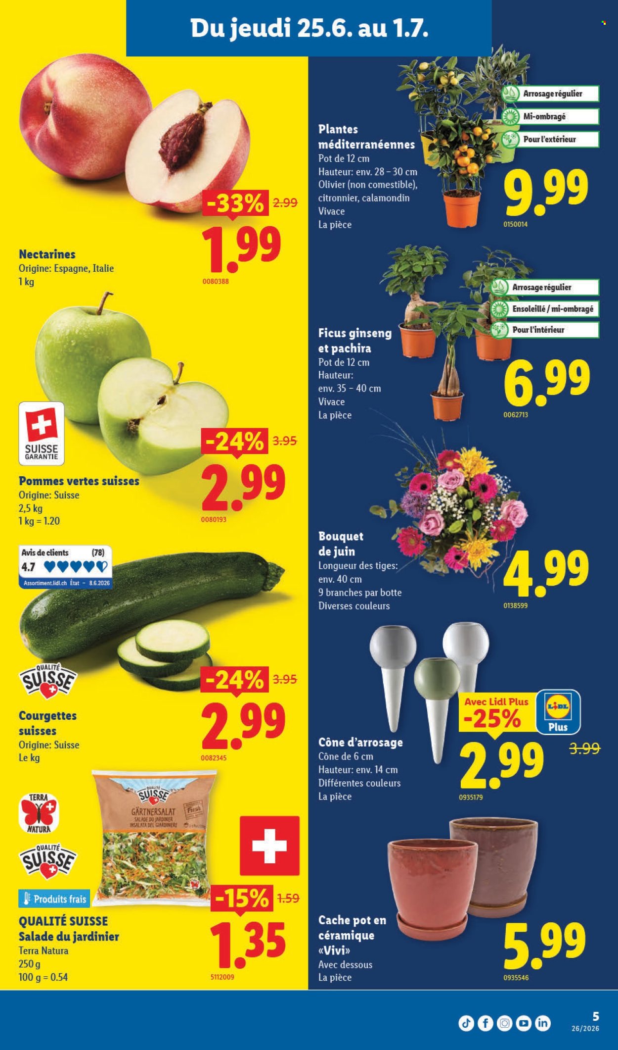 Catalogue Lidl - 25.6.2026 - 1.7.2026. Page 5