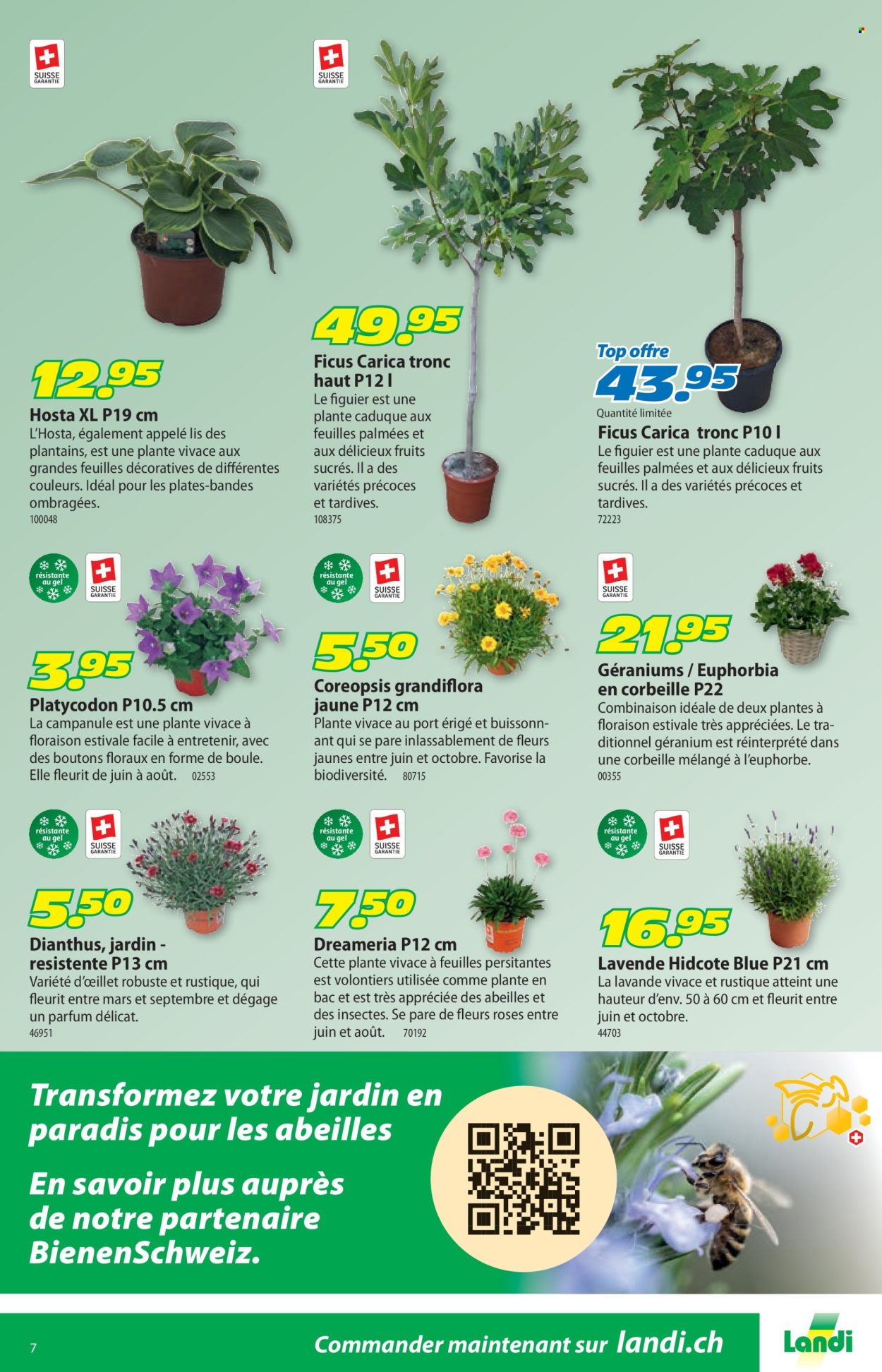 Catalogue Landi - 22.6.2026 - 5.7.2026. Page 11