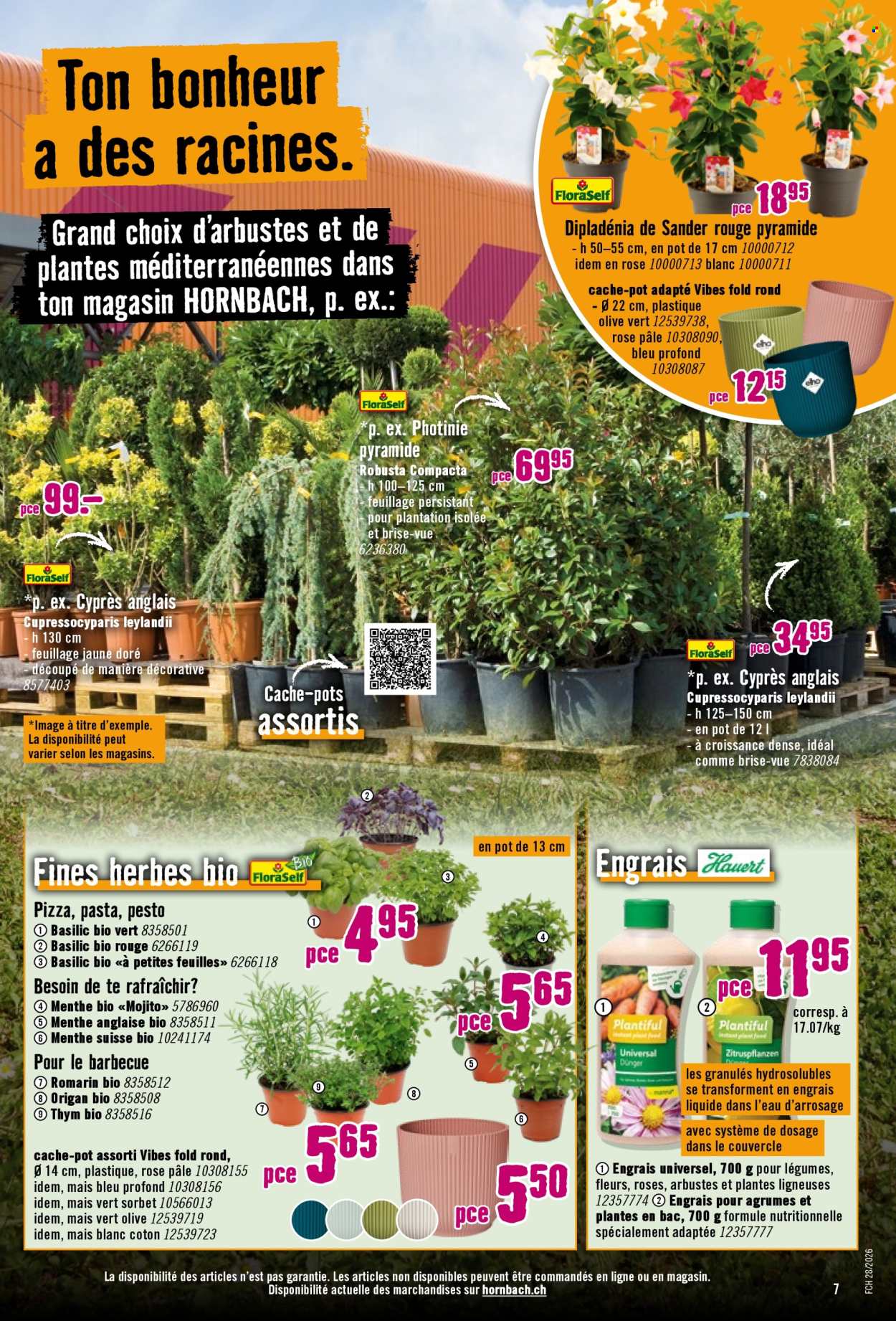 Catalogue Hornbach - 7.7.2026 - 19.7.2026. Page 7