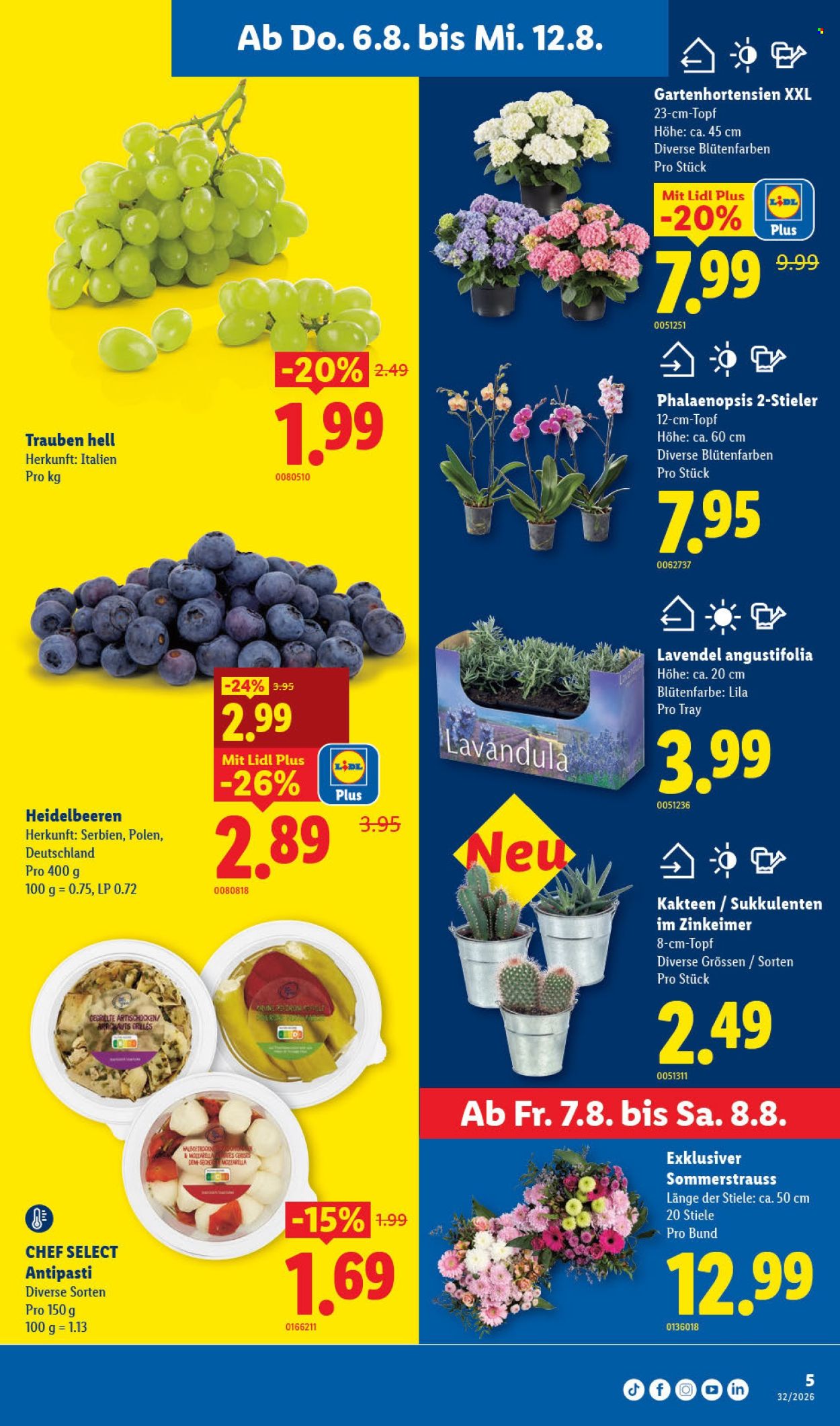 Volantino Lidl - 6.8.2026 - 12.8.2026. Pagina 5