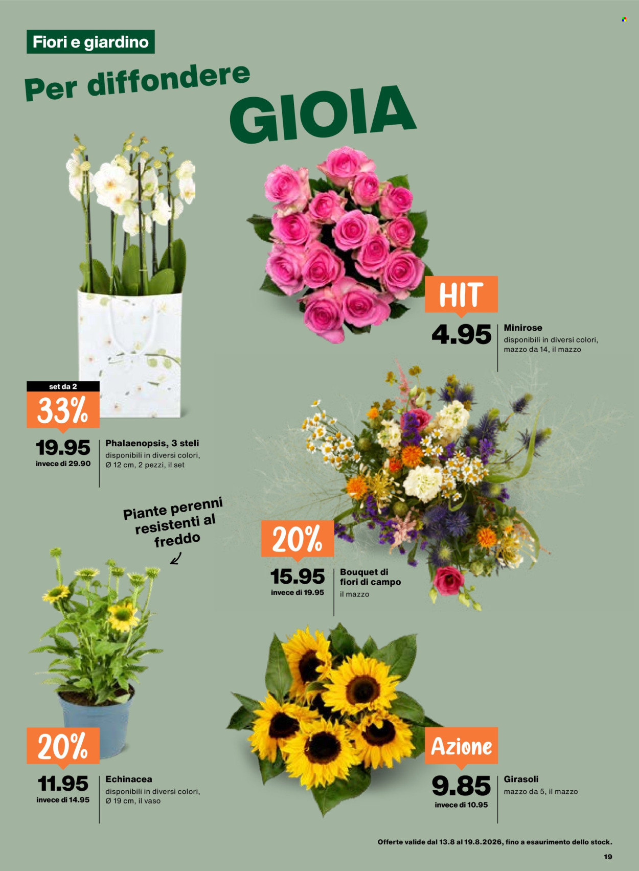 Volantino Migros - 13.8.2026 - 19.8.2026. Pagina 19