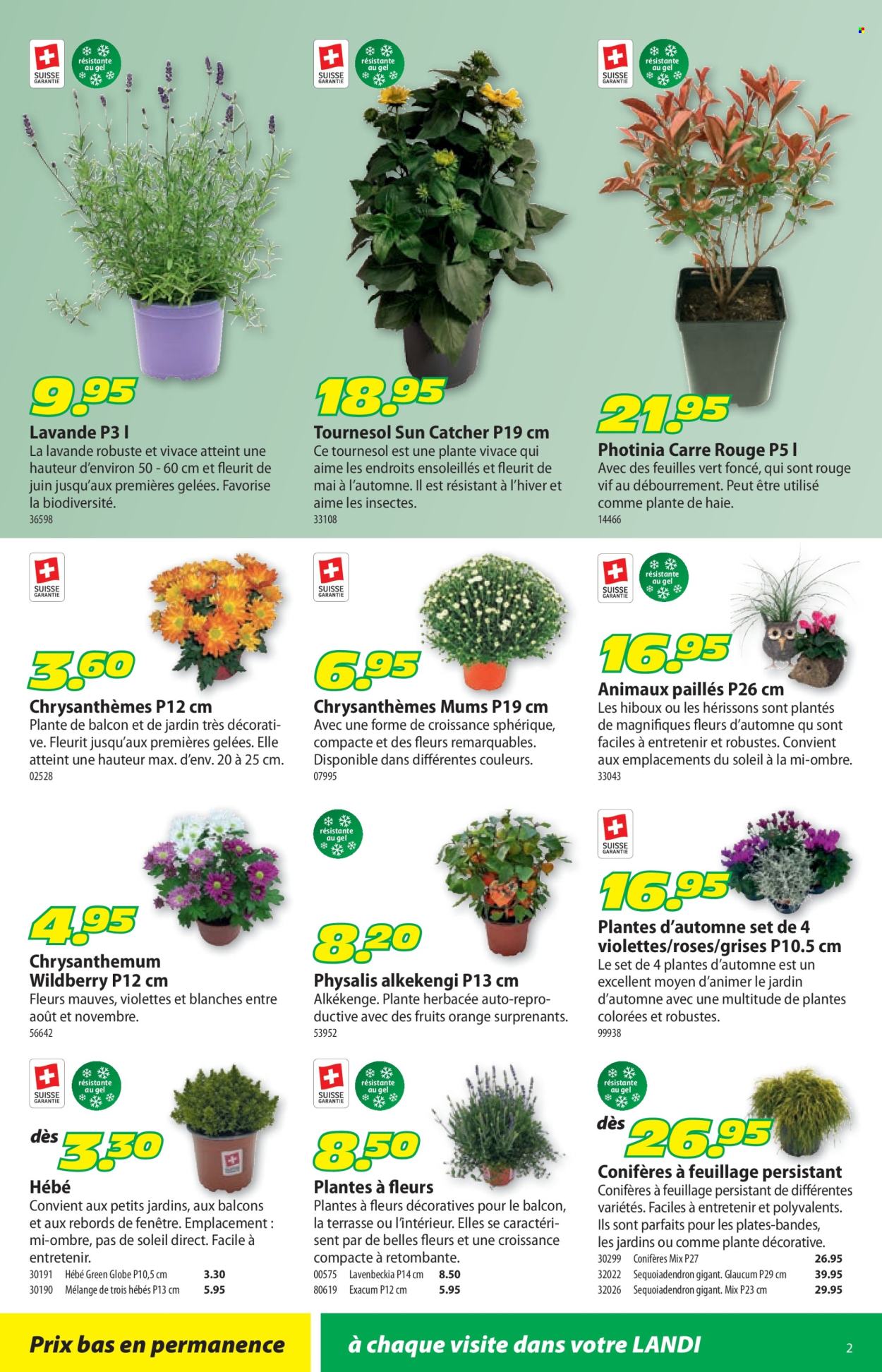 Volantino Landi - 17.8.2026 - 30.8.2026. Pagina 2