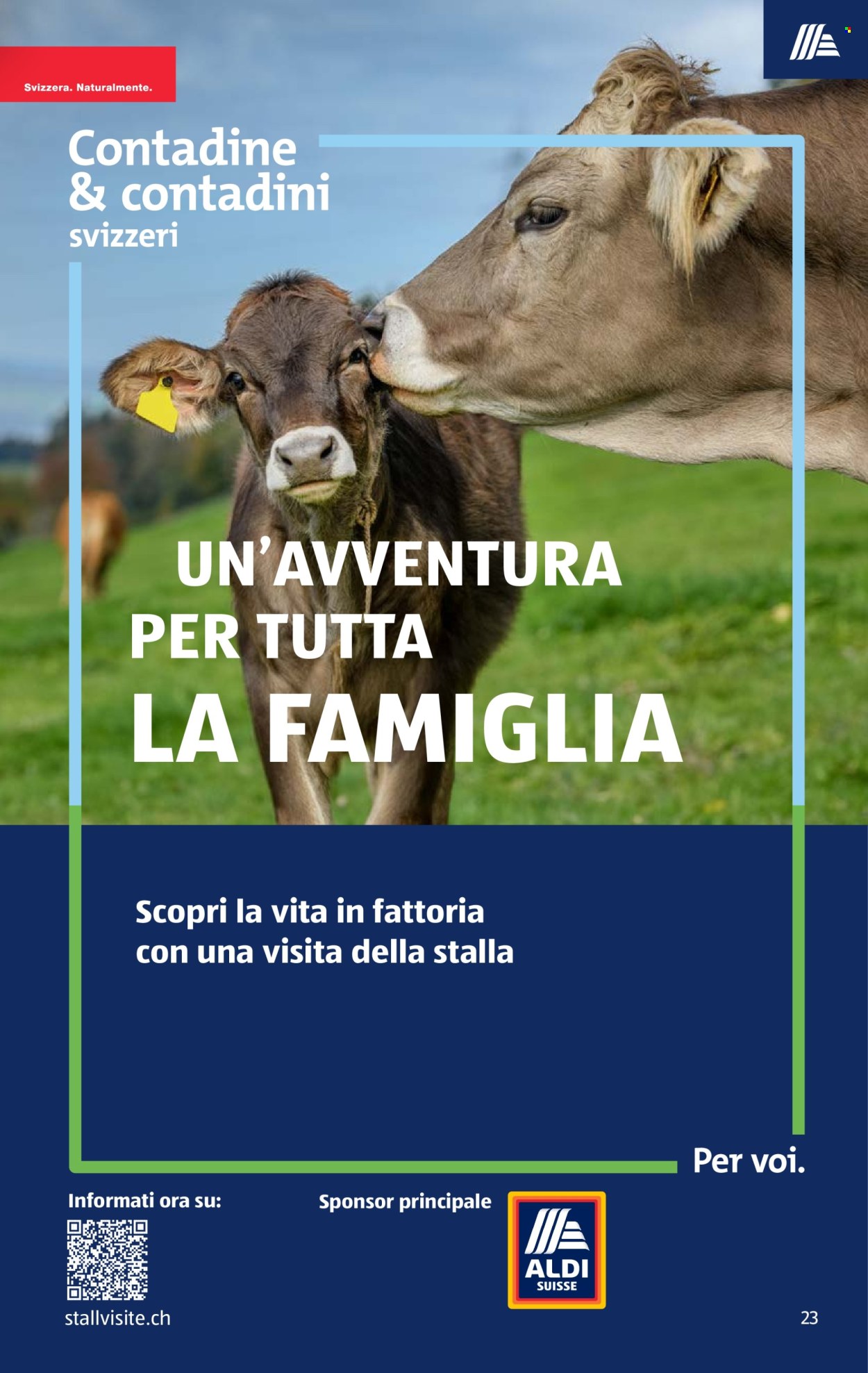 Volantino Aldi - 3.9.2026 - 9.9.2026. Pagina 23