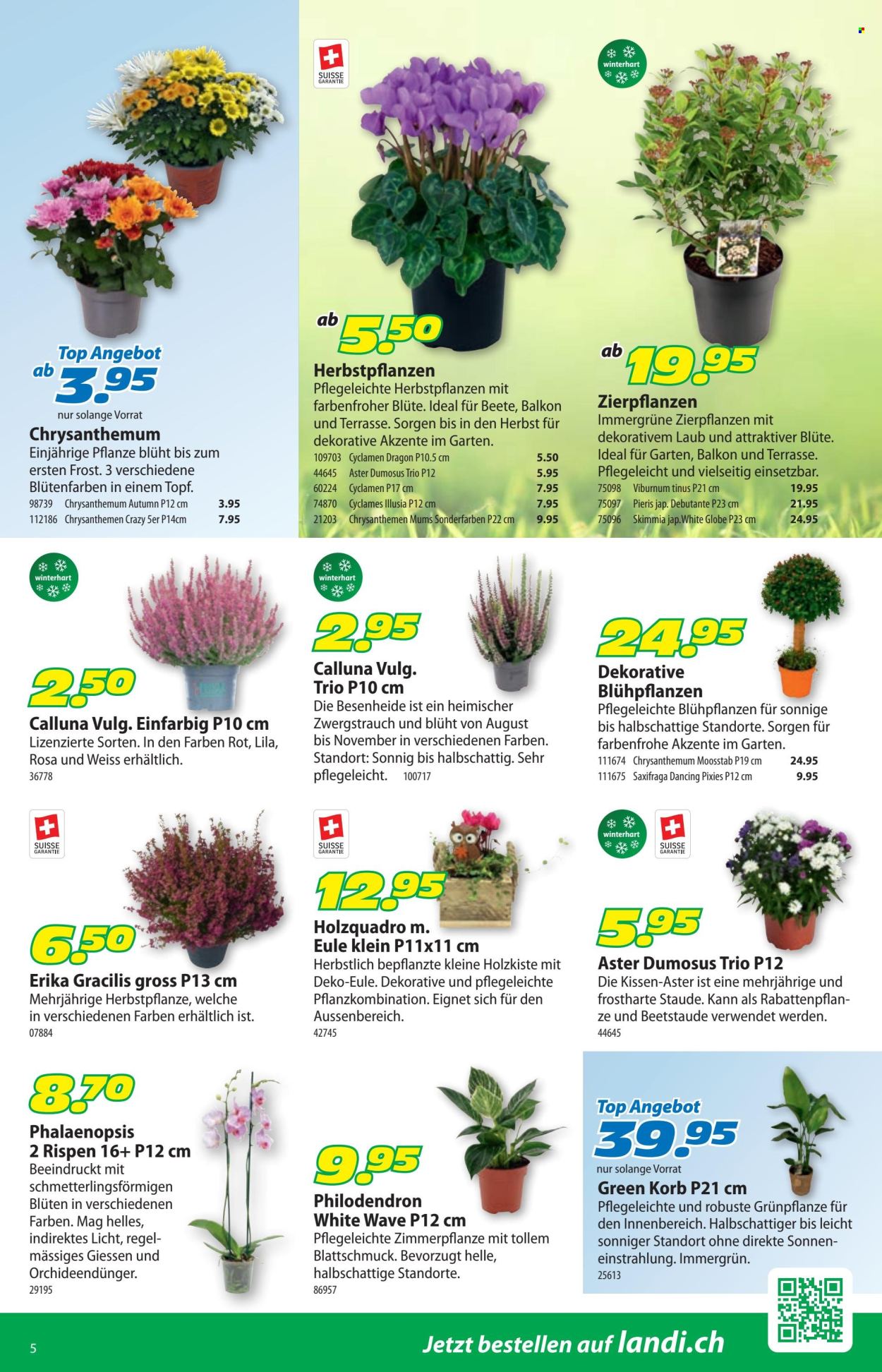 Volantino Landi - 14.9.2026 - 27.9.2026. Pagina 9