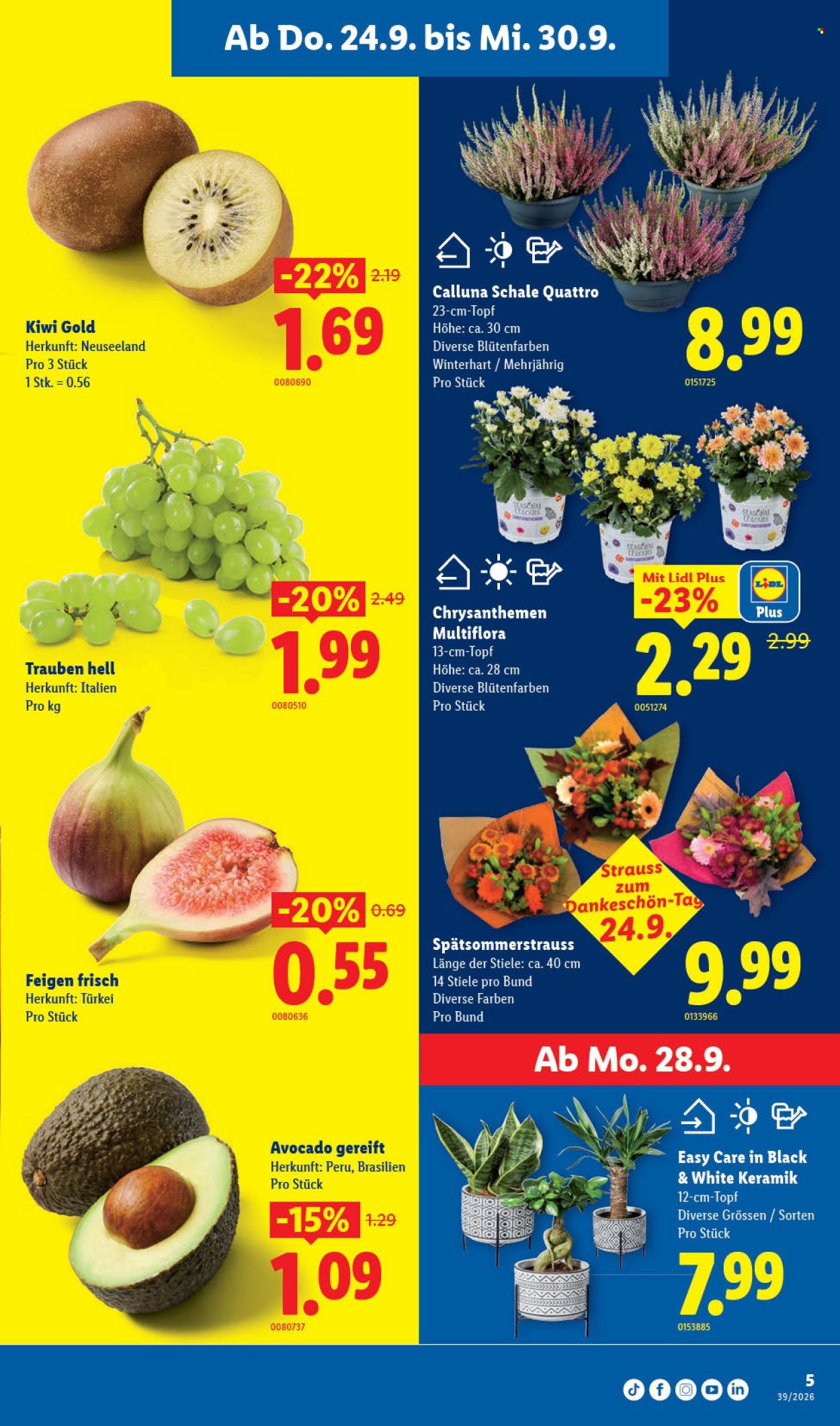 Volantino Lidl - 24.9.2026 - 30.9.2026. Pagina 5