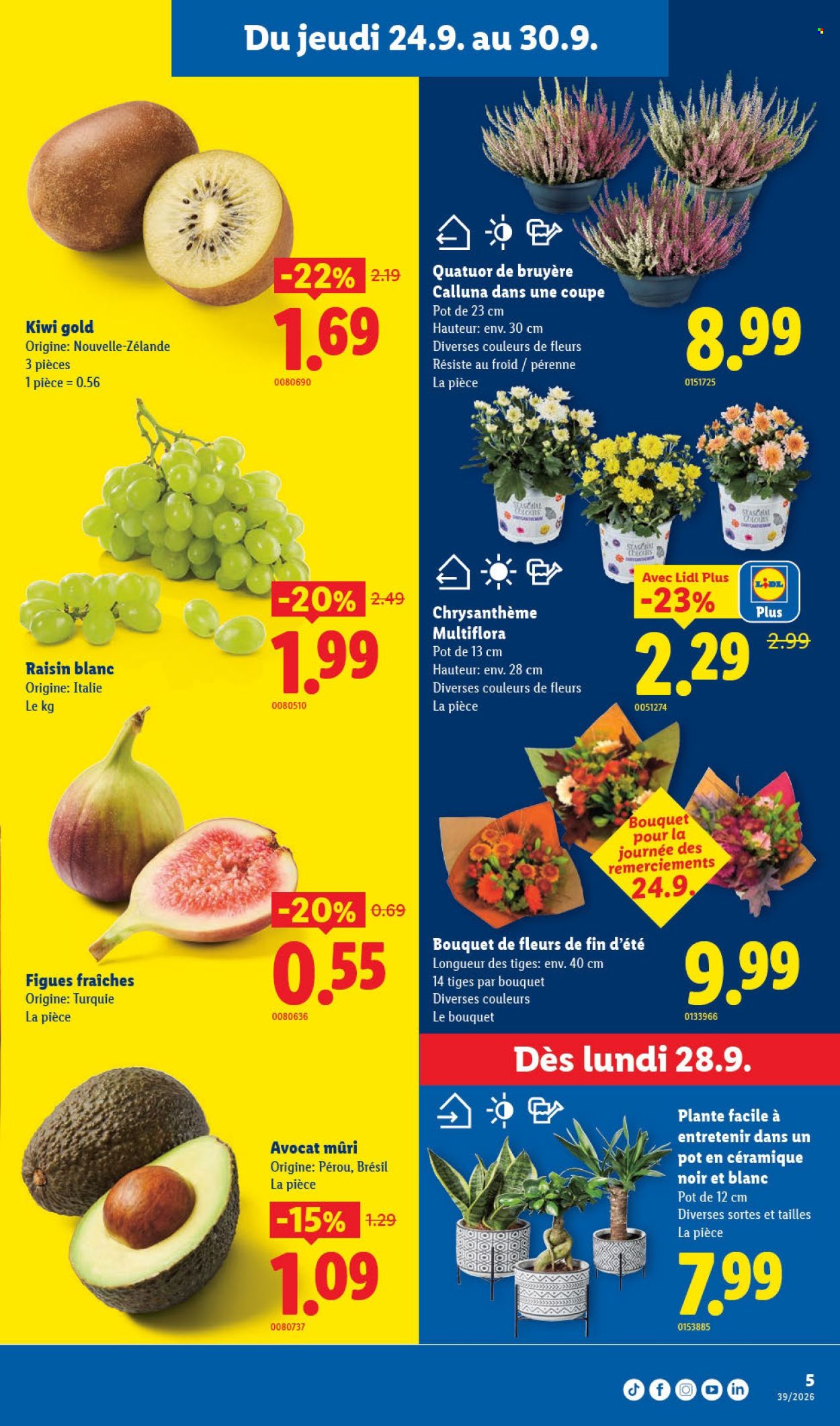 Volantino Lidl - 24.9.2026 - 30.9.2026. Pagina 5