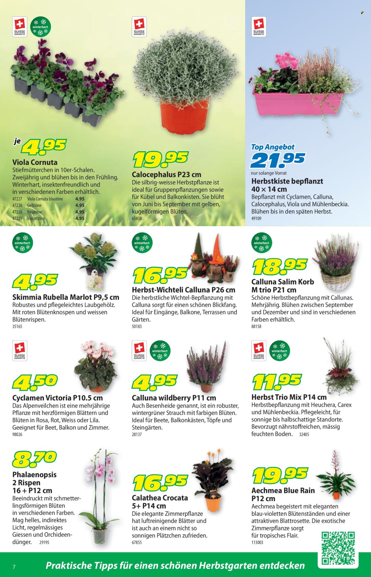 Volantino Landi - 28.9.2026 - 11.10.2026. Pagina 11