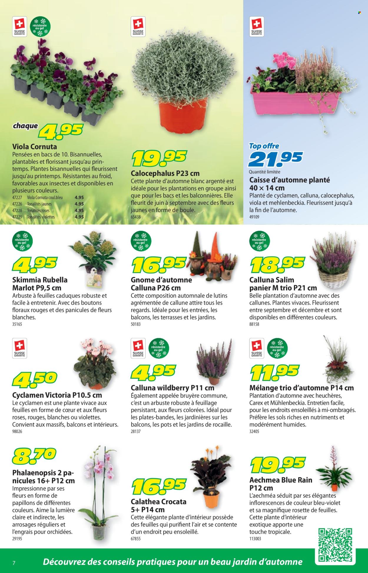 Catalogue Landi - 28.9.2026 - 11.10.2026. Page 11