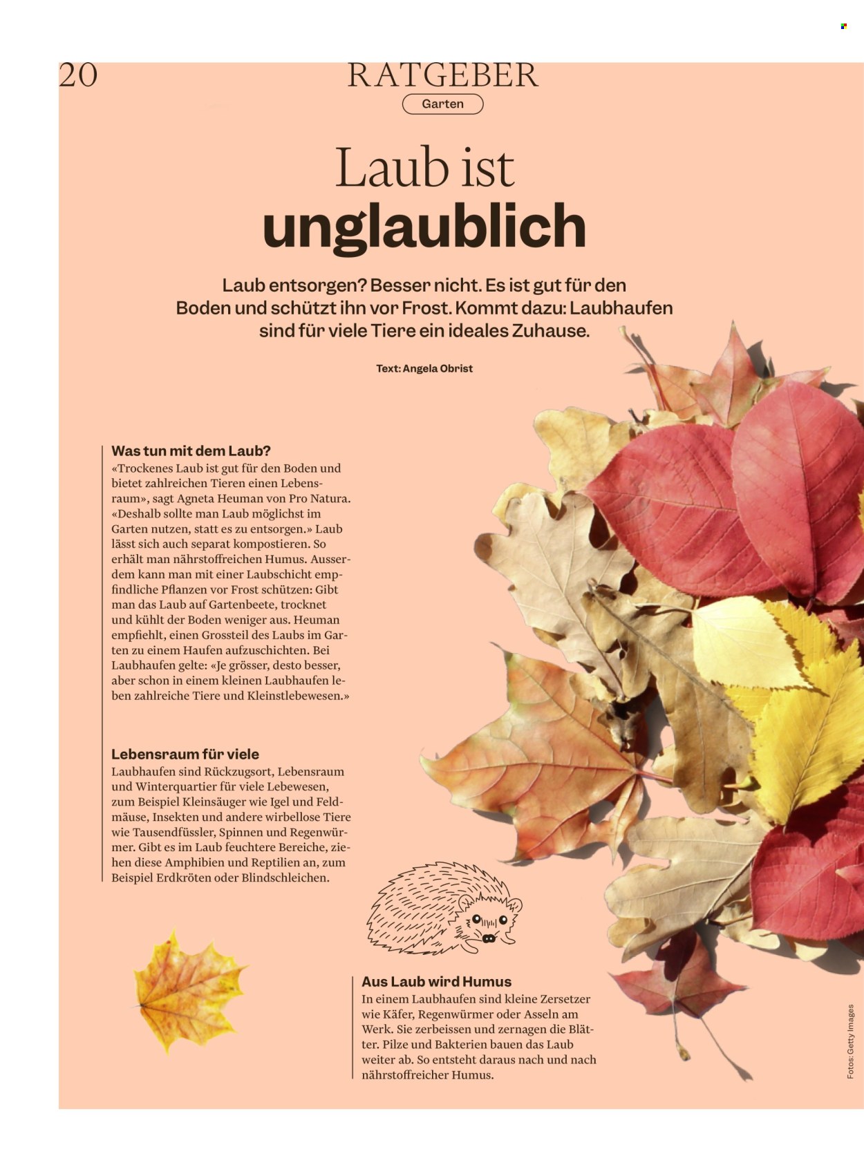 Volantino Migros - 8.10.2026 - 14.10.2026. Pagina 20