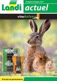 Volantino Landi - 7.1.2021 - 31.12.2021.