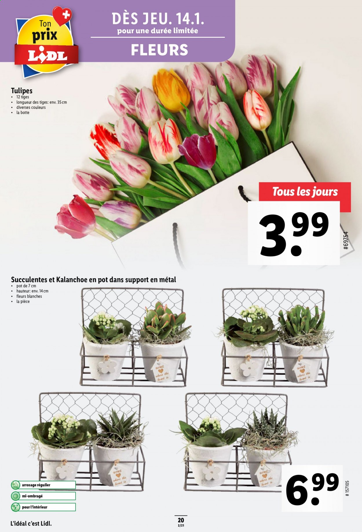 Prospekt Lidl - 14.1.2021 - 20.1.2021. Seite 20
