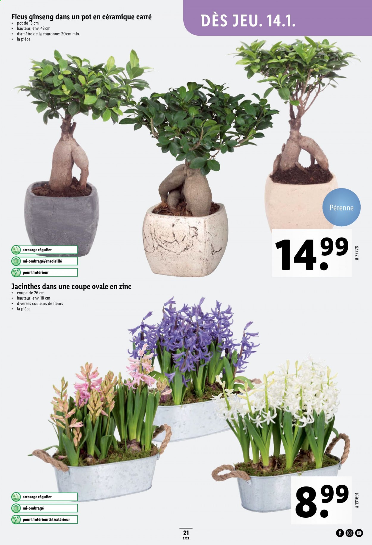 Prospekt Lidl - 14.1.2021 - 20.1.2021. Seite 21