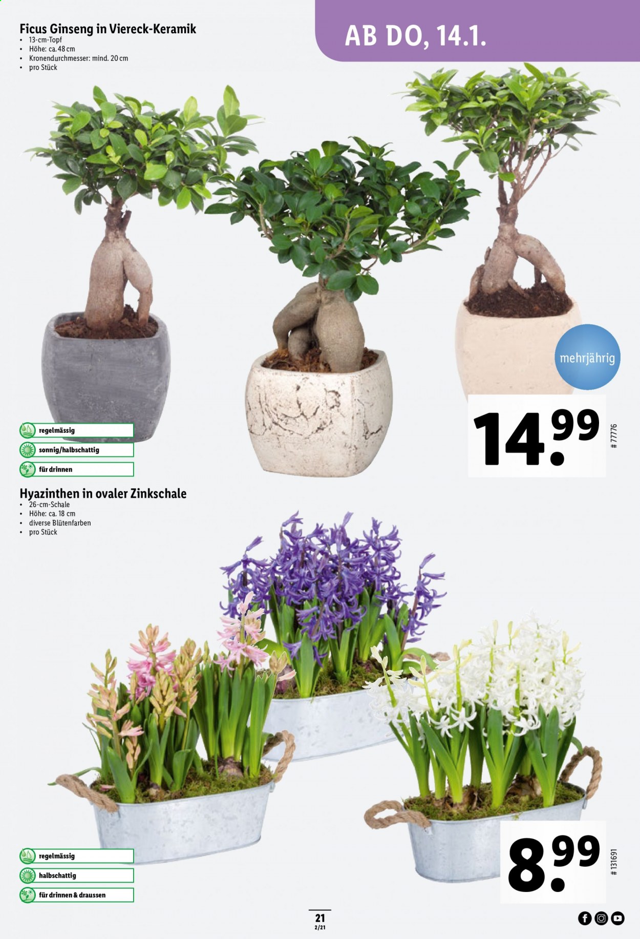 Prospekt Lidl - 14.1.2021 - 20.1.2021. Seite 21