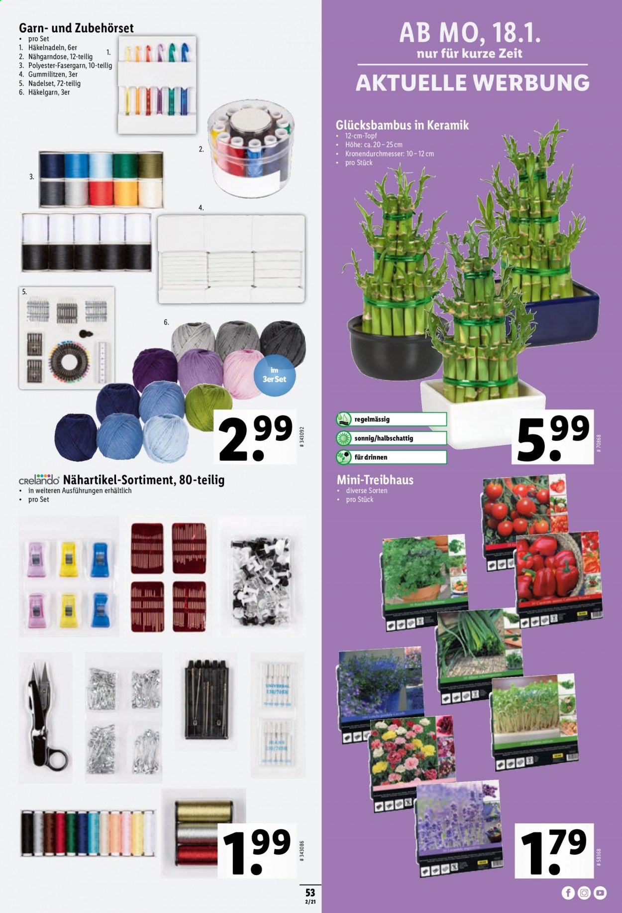 Prospekt Lidl - 14.1.2021 - 20.1.2021. Seite 53