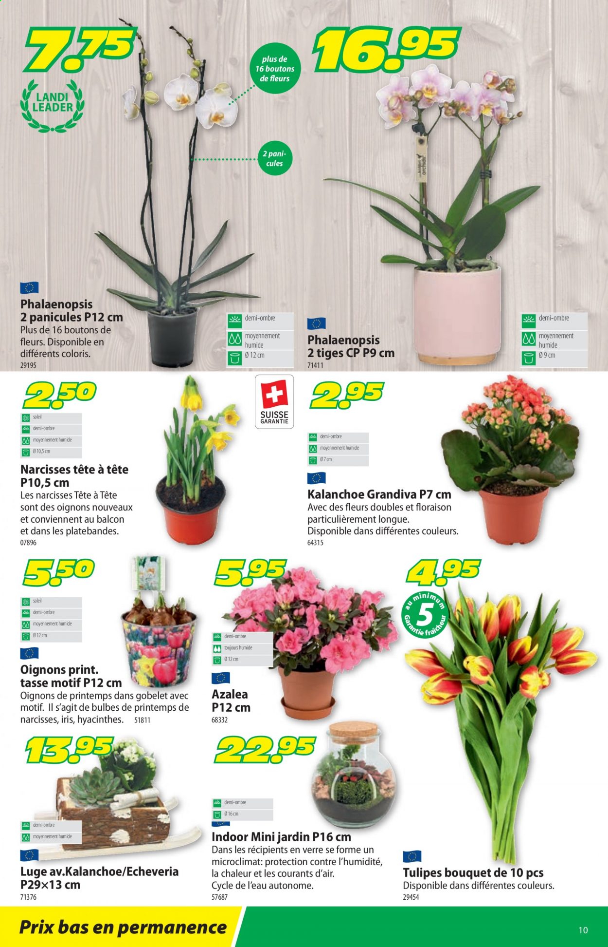 Catalogue Landi - 11.1.2021 - 23.1.2021. Page 14