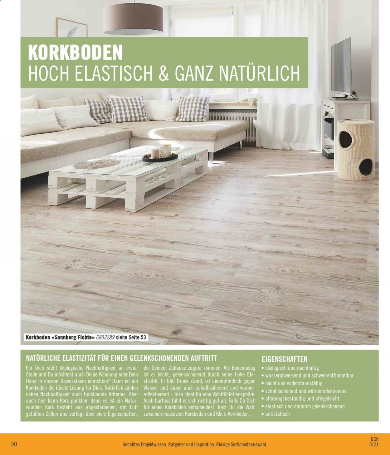Volantino Hornbach - 12.1.2021 - 18.2.2021. Pagina 50