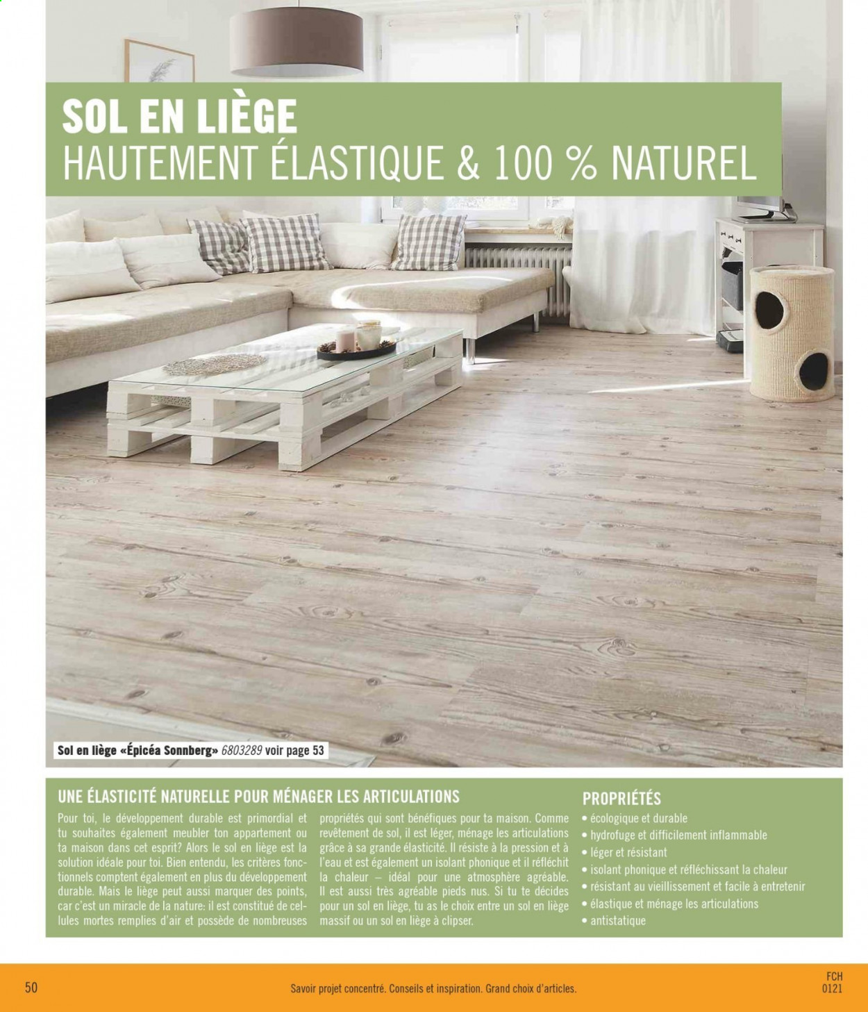 Volantino Hornbach - 12.1.2021 - 18.2.2021. Pagina 50