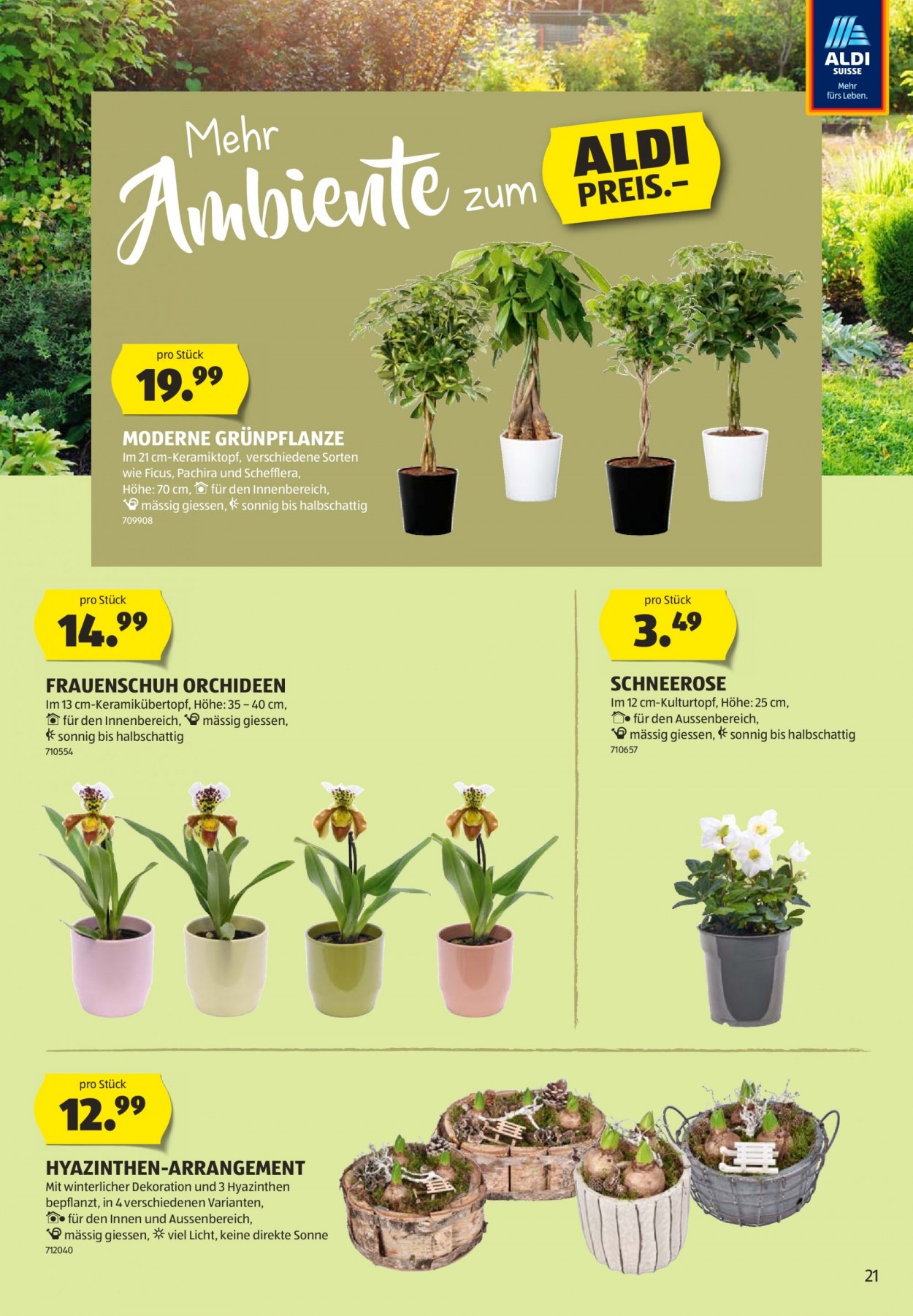 Volantino Aldi - 21.1.2021 - 27.1.2021. Pagina 21