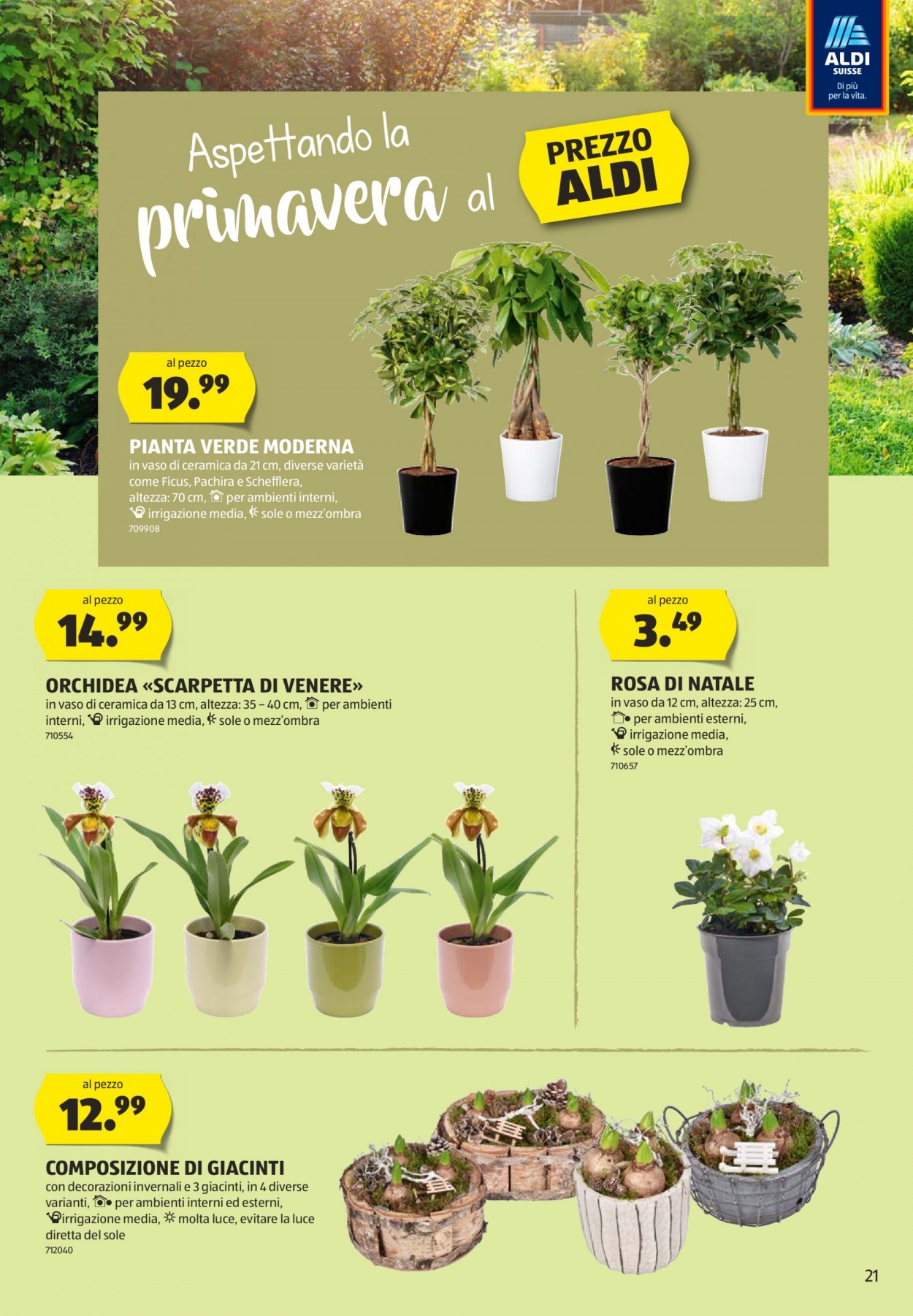 Prospekt Aldi - 21.1.2021 - 27.1.2021. Seite 21
