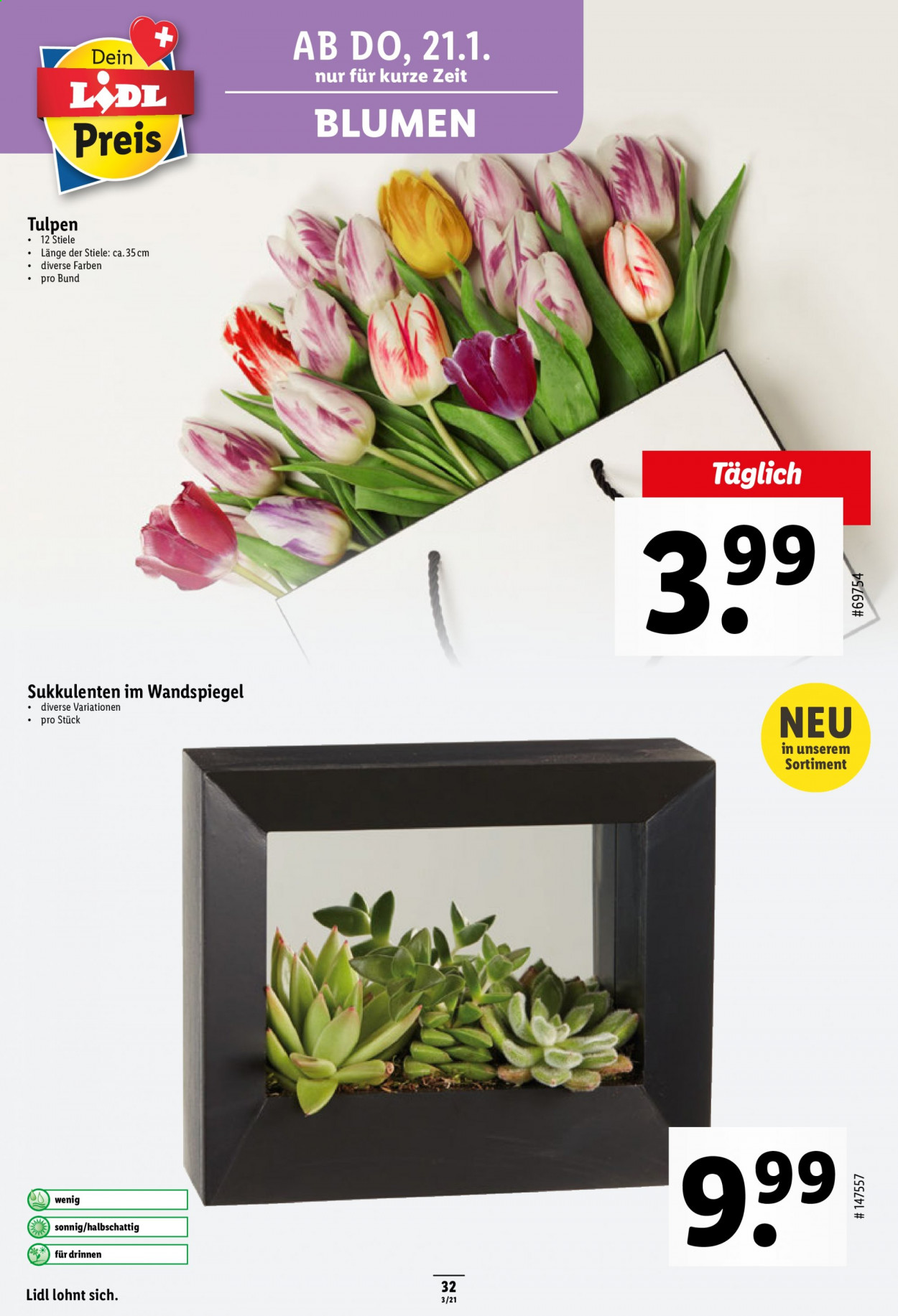 Prospekt Lidl - 21.1.2021 - 27.1.2021. Seite 32