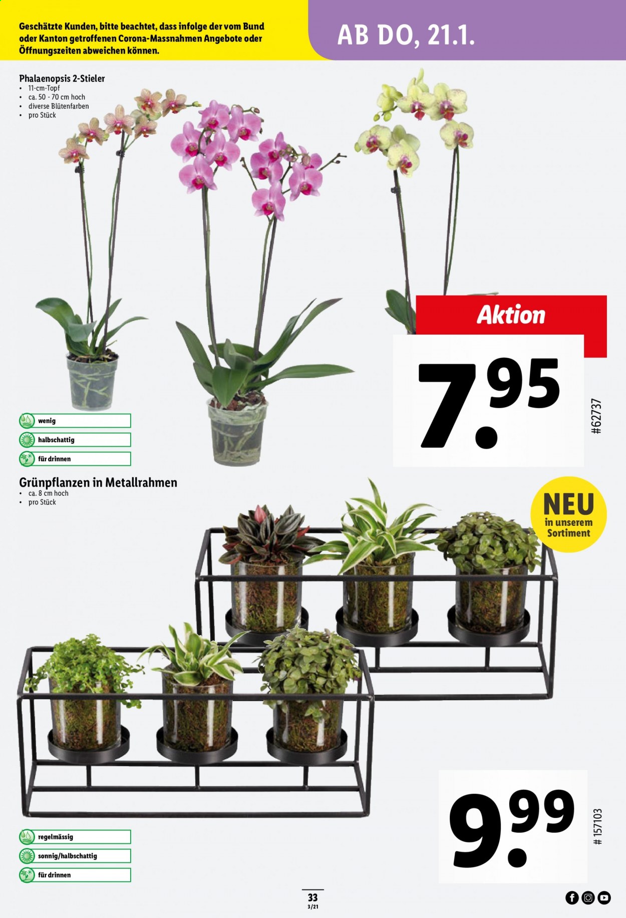 Prospekt Lidl - 21.1.2021 - 27.1.2021. Seite 33