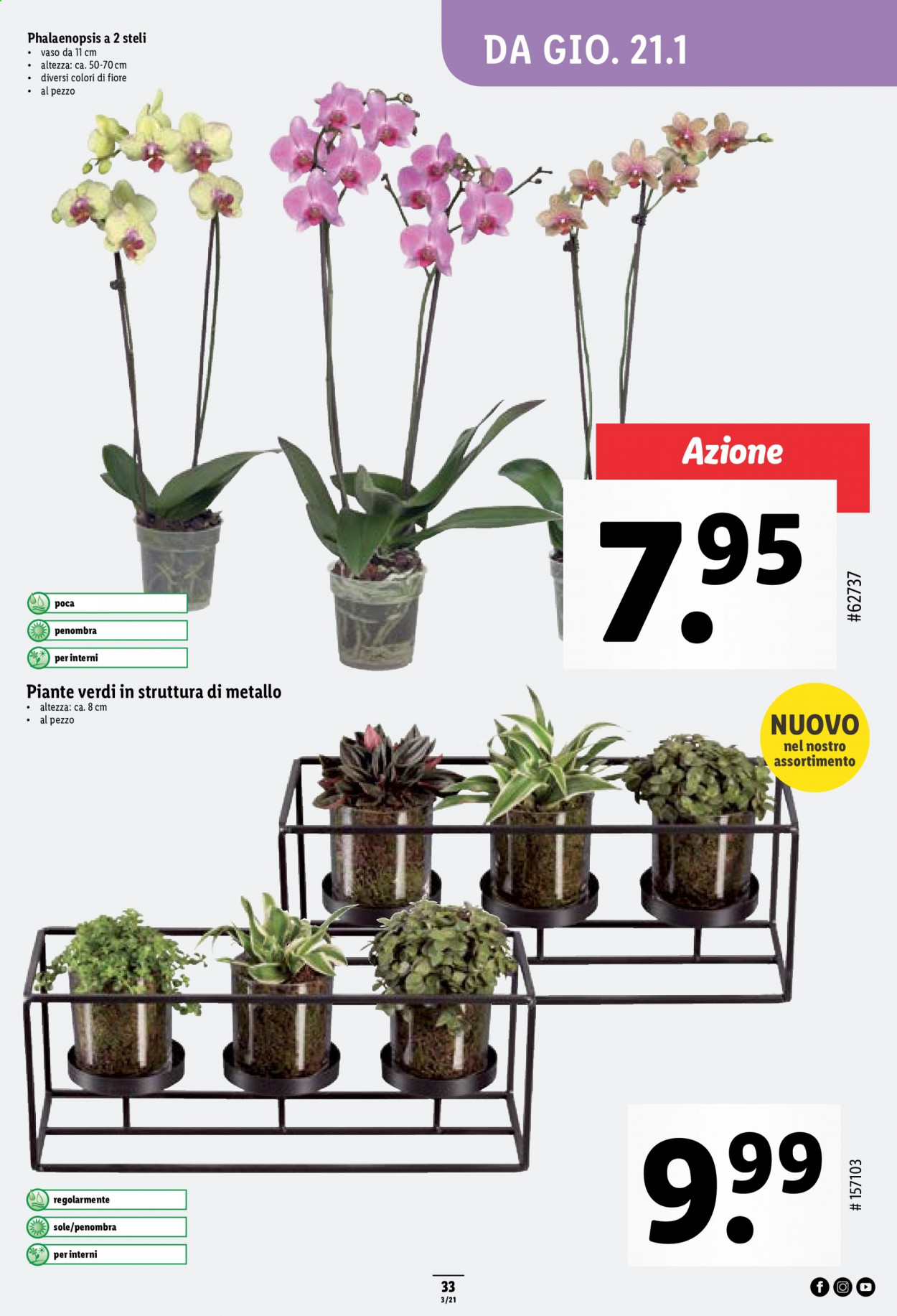 Prospekt Lidl - 21.1.2021 - 27.1.2021. Seite 33