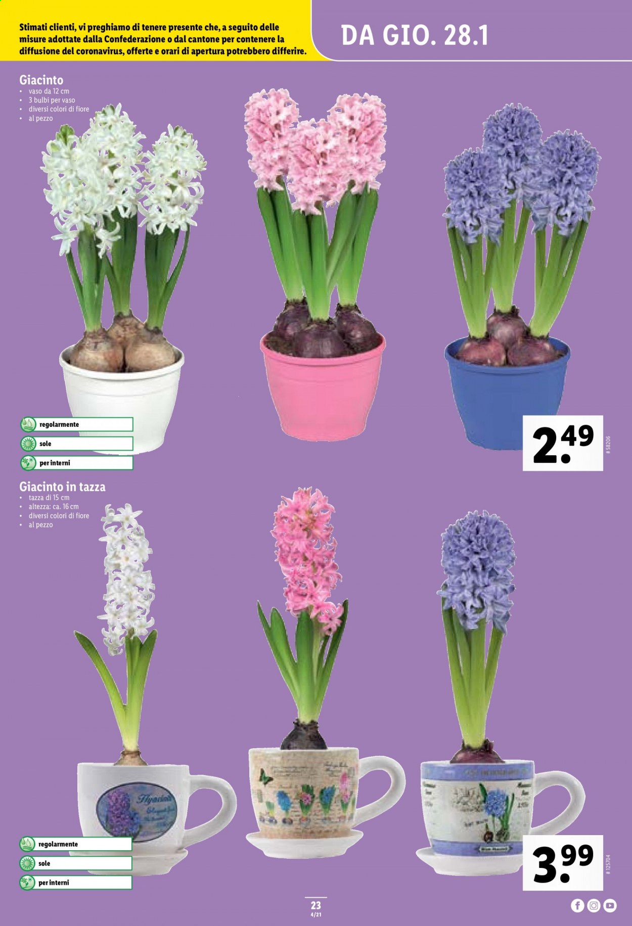 Prospekt Lidl - 28.1.2021 - 3.2.2021. Seite 23