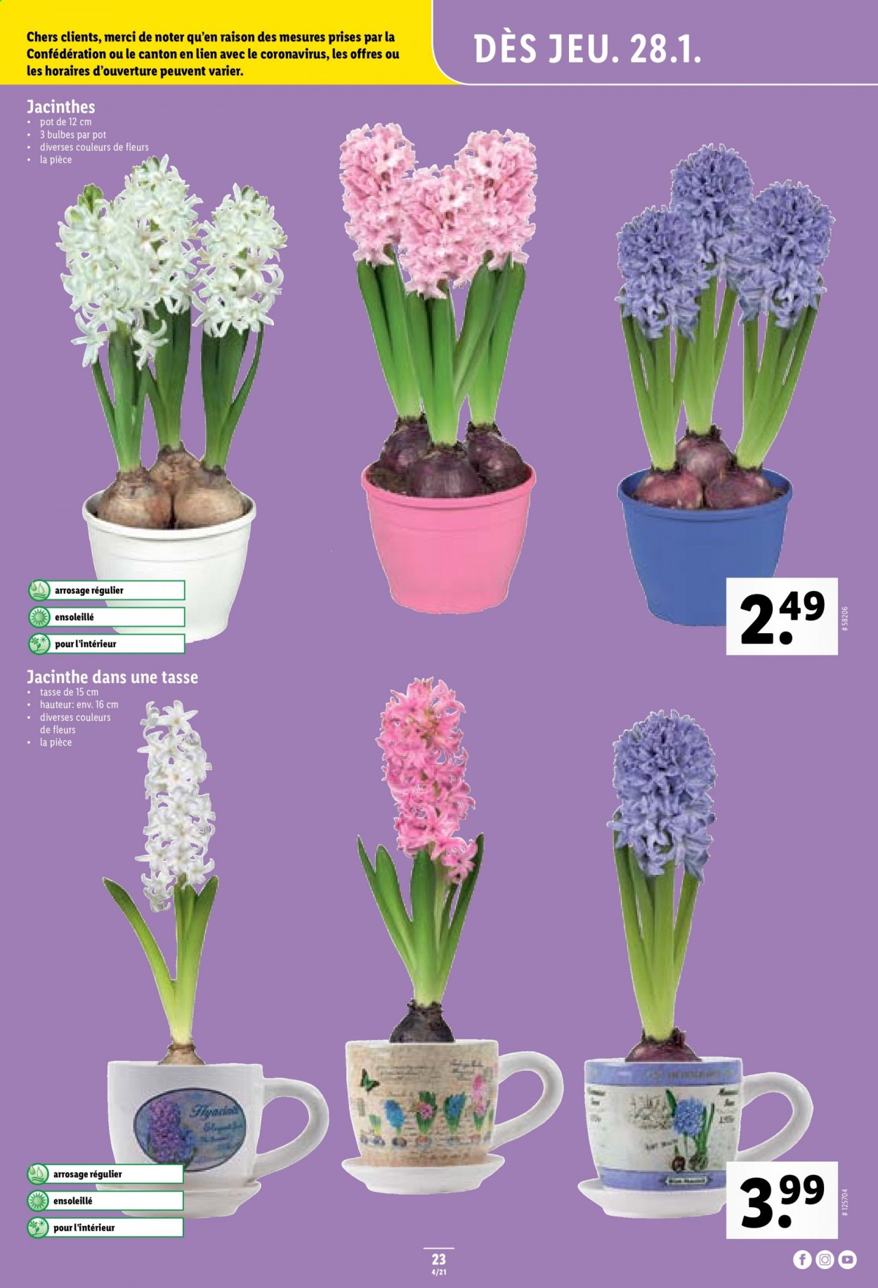Prospekt Lidl - 28.1.2021 - 3.2.2021. Seite 23