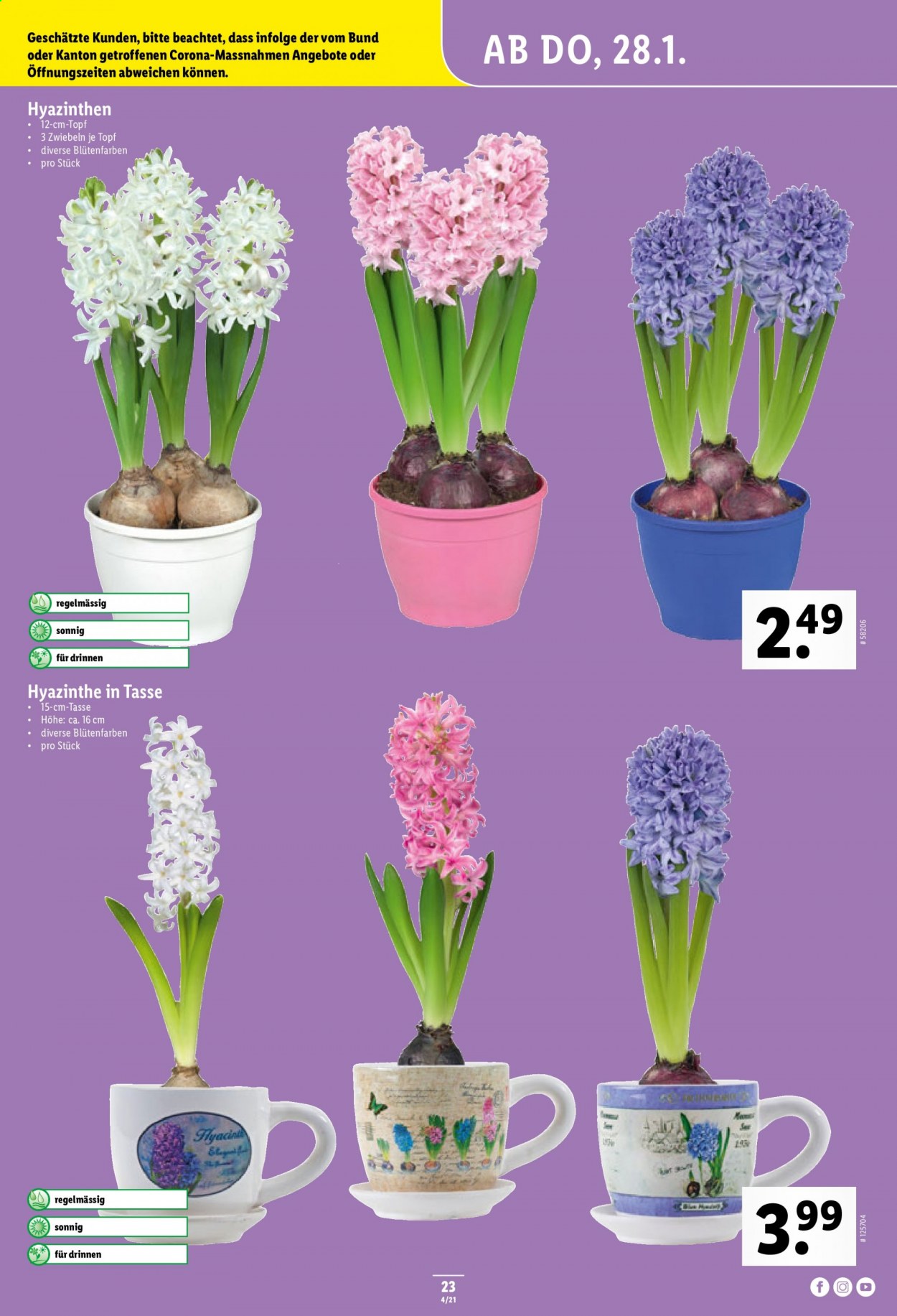 Volantino Lidl - 28.1.2021 - 3.2.2021. Pagina 23