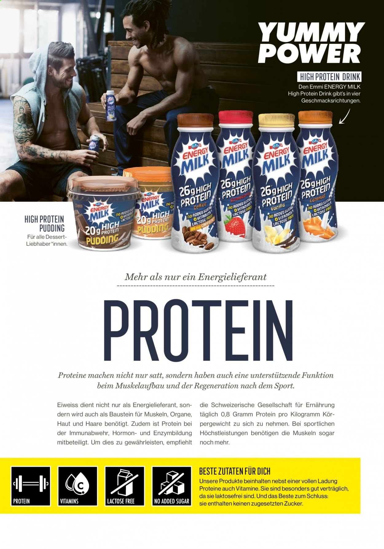 Catalogue SPAR. Page 61