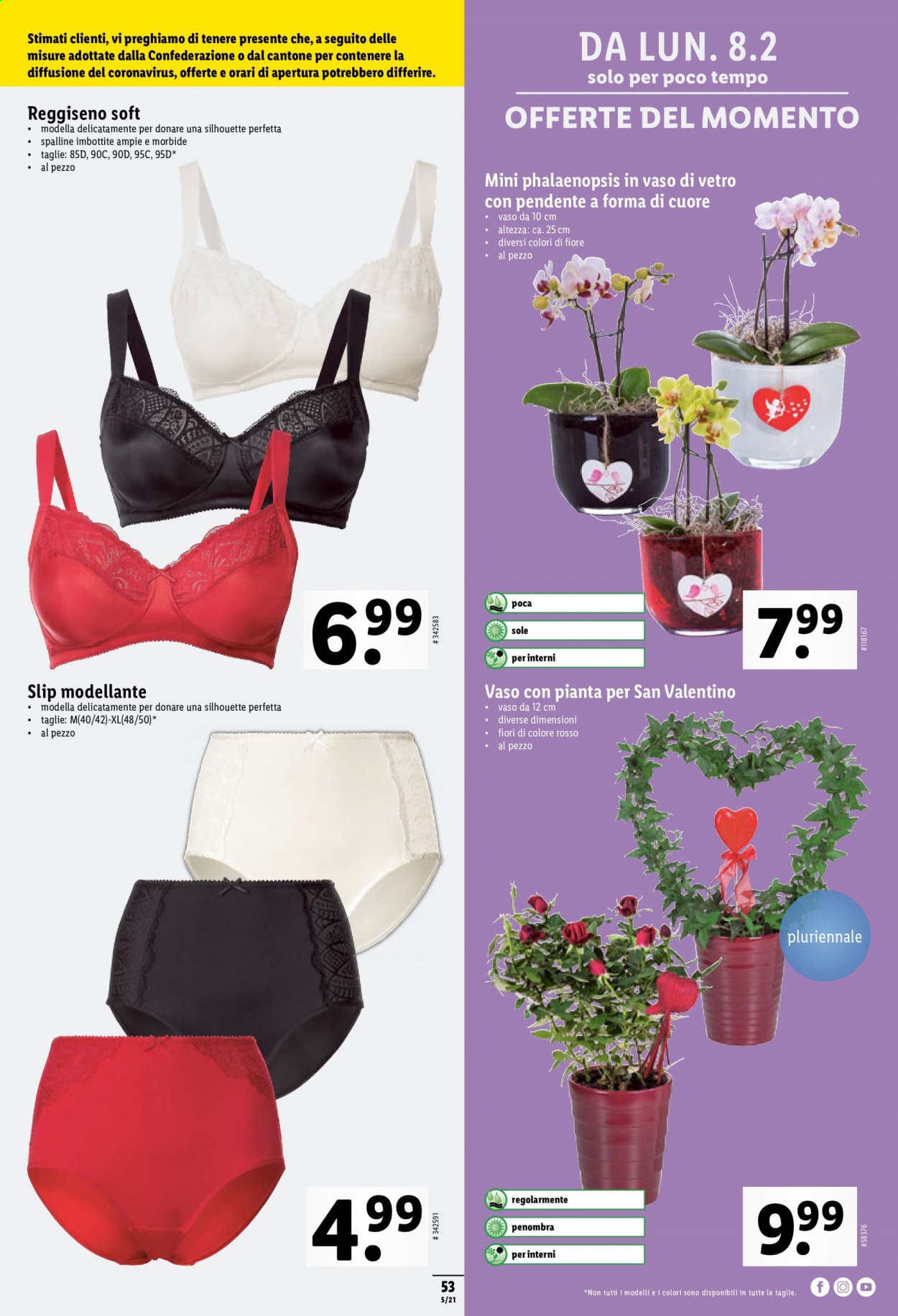 Volantino Lidl - 4.2.2021 - 10.2.2021. Pagina 53