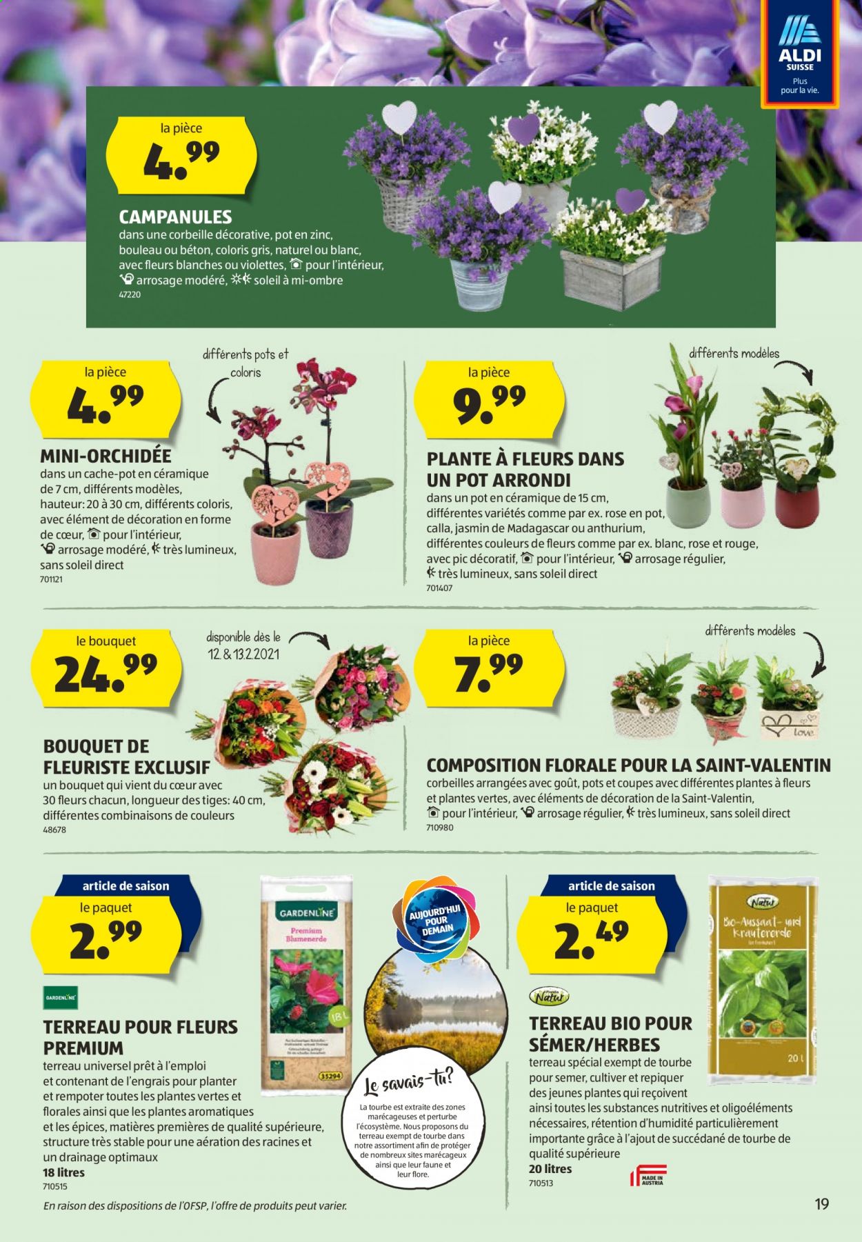 Prospekt Aldi - 11.2.2021 - 17.2.2021. Seite 19