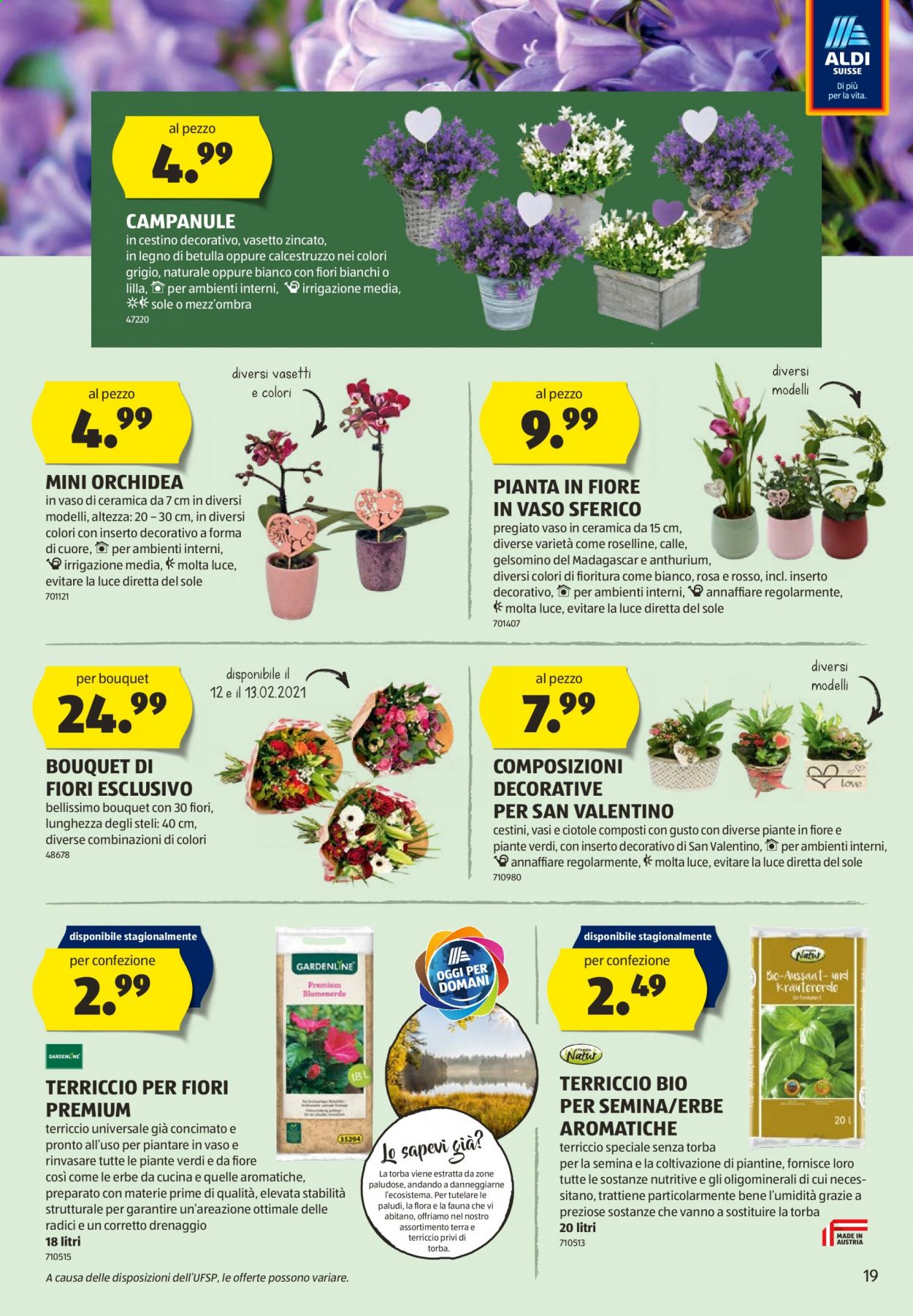 Prospekt Aldi - 11.2.2021 - 17.2.2021. Seite 19