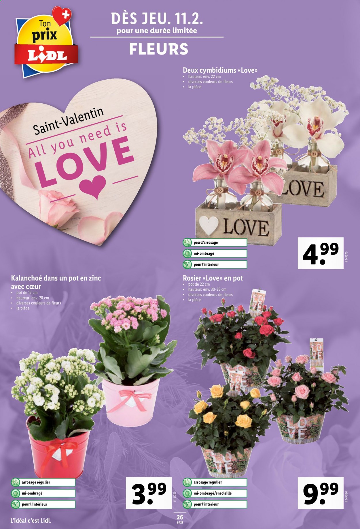 Volantino Lidl - 11.2.2021 - 17.2.2021. Pagina 26