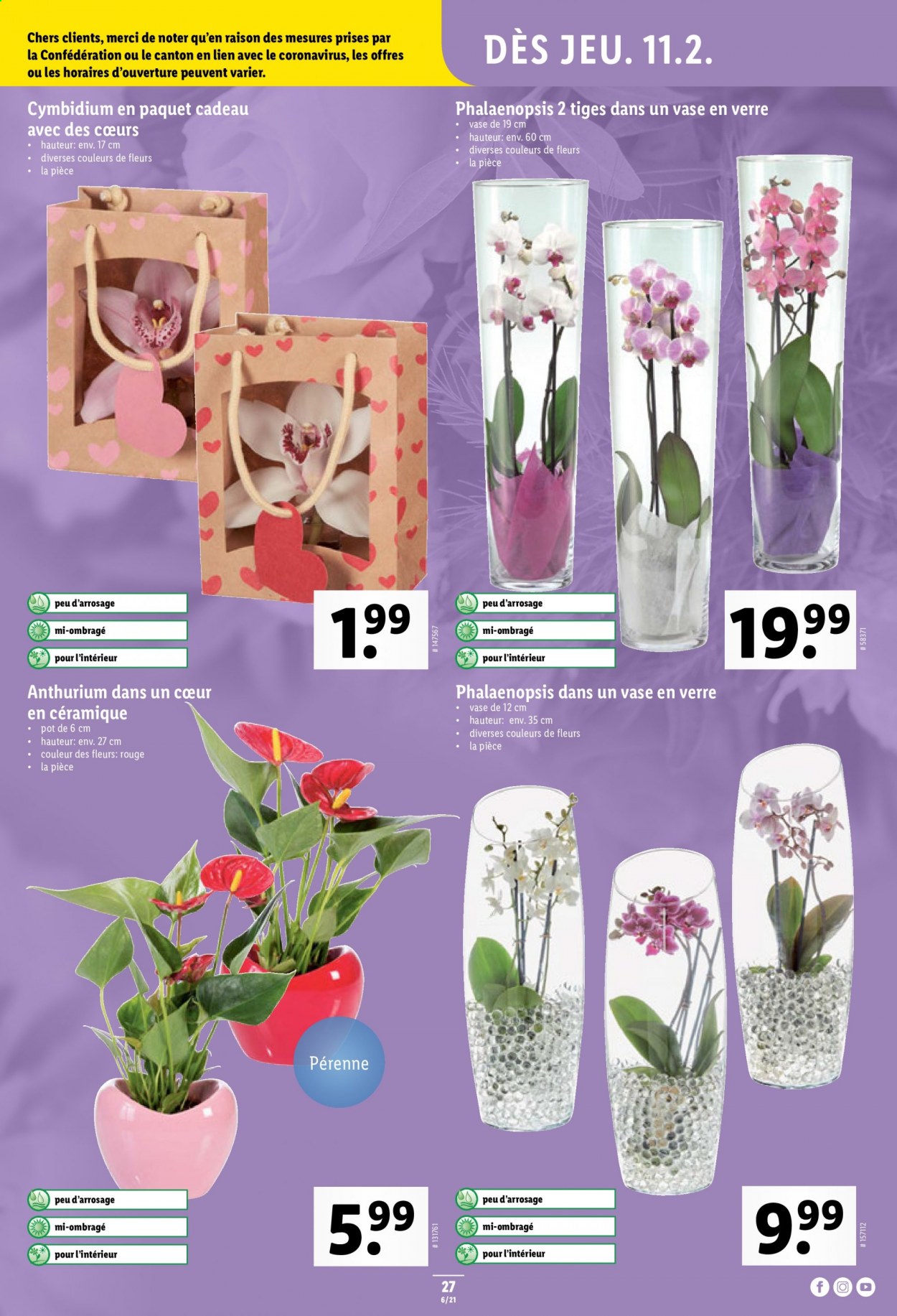 Volantino Lidl - 11.2.2021 - 17.2.2021. Pagina 27