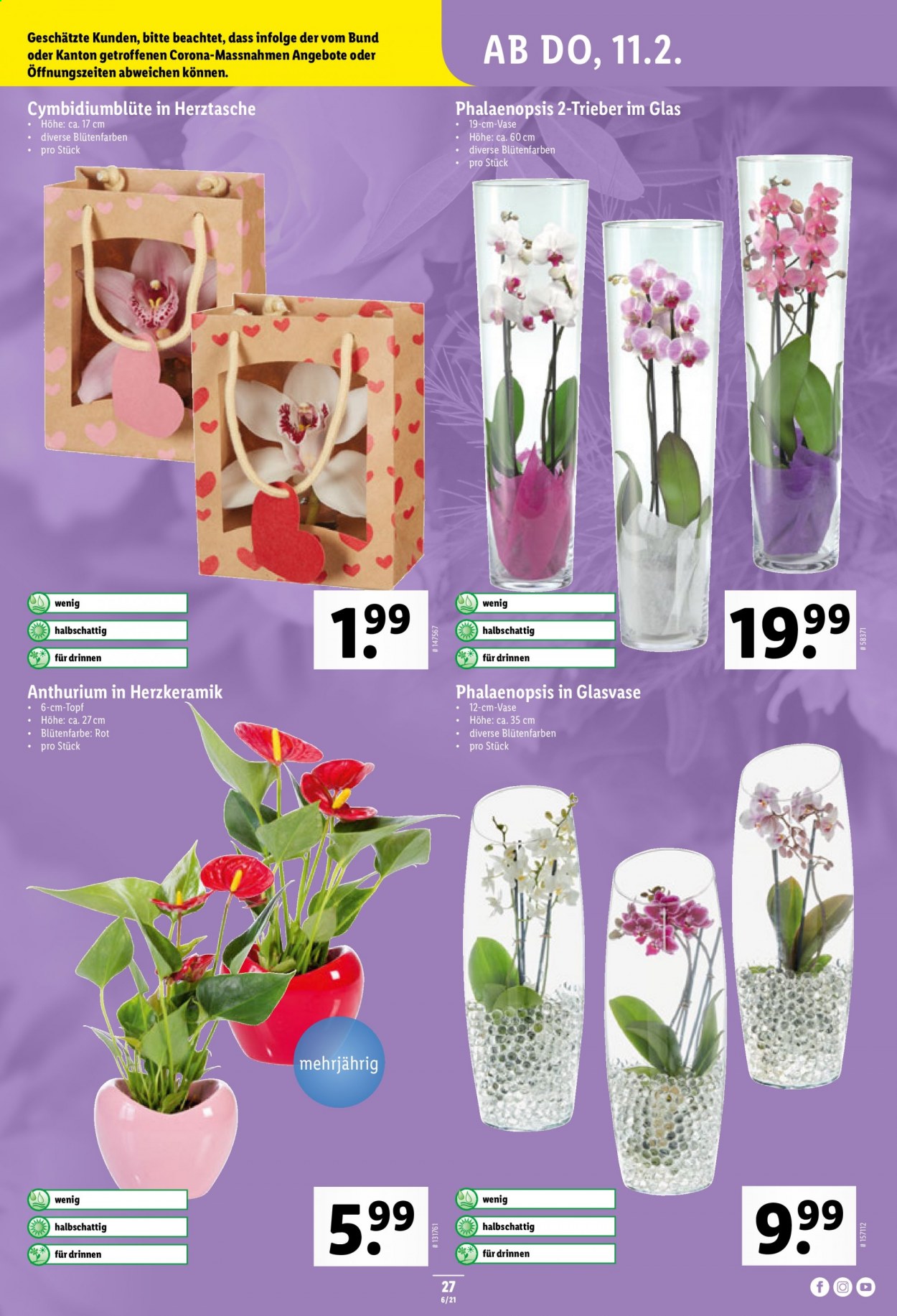 Volantino Lidl - 11.2.2021 - 17.2.2021. Pagina 27