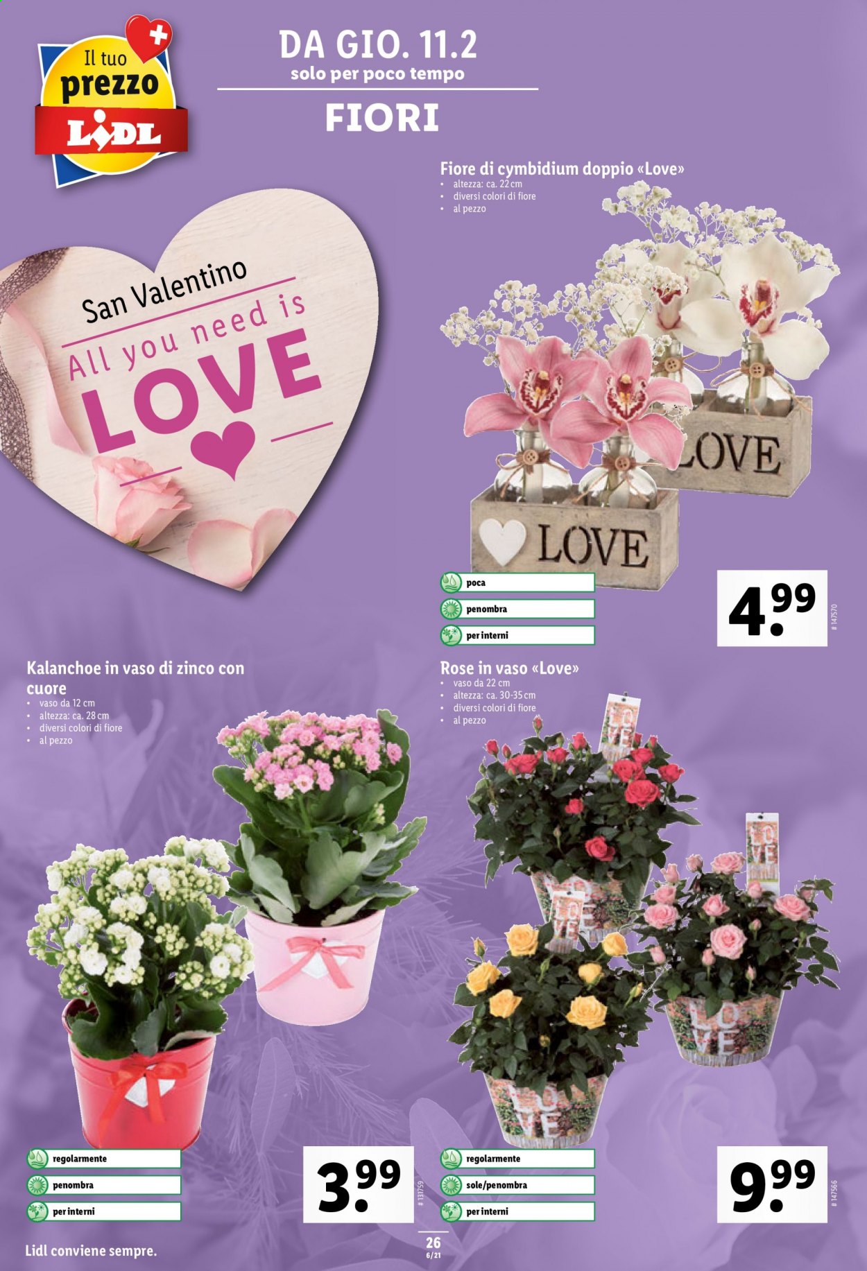 Volantino Lidl - 11.2.2021 - 17.2.2021. Pagina 26