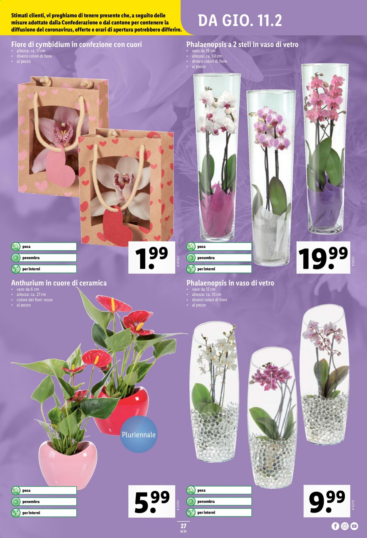 Volantino Lidl - 11.2.2021 - 17.2.2021. Pagina 27