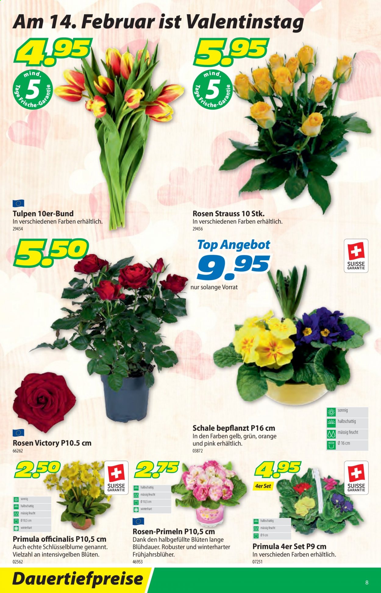 Volantino Landi - 8.2.2021 - 20.2.2021. Pagina 12