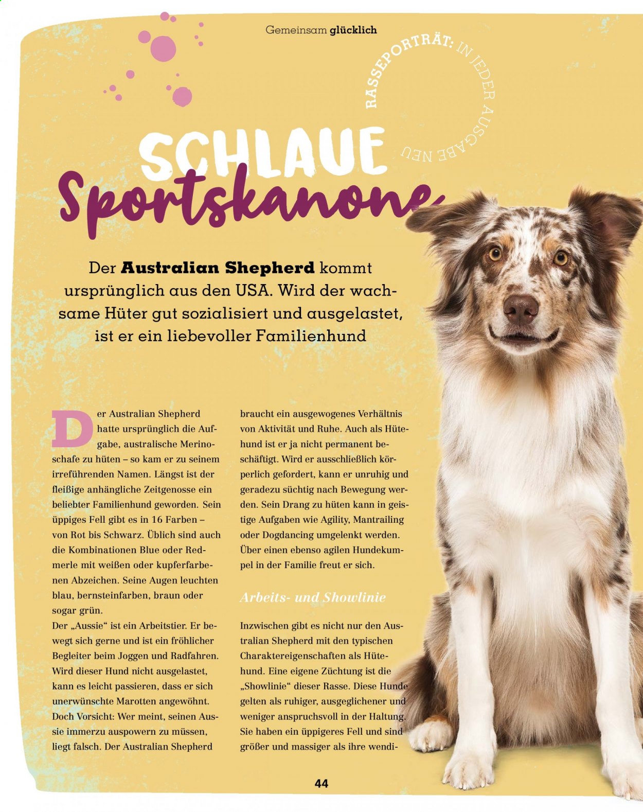 Fressnapf Prospekte . Seite 44
