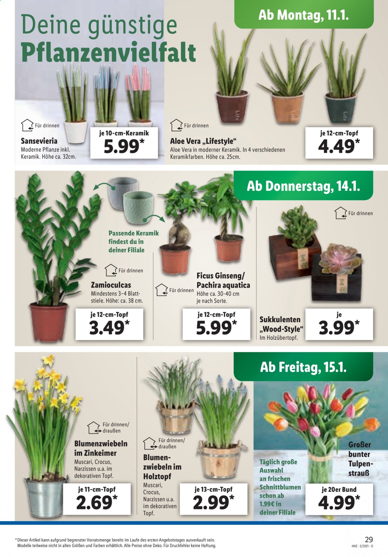 Lidl Prospekte  - 11.01.2021 - 16.01.2021. Seite 29