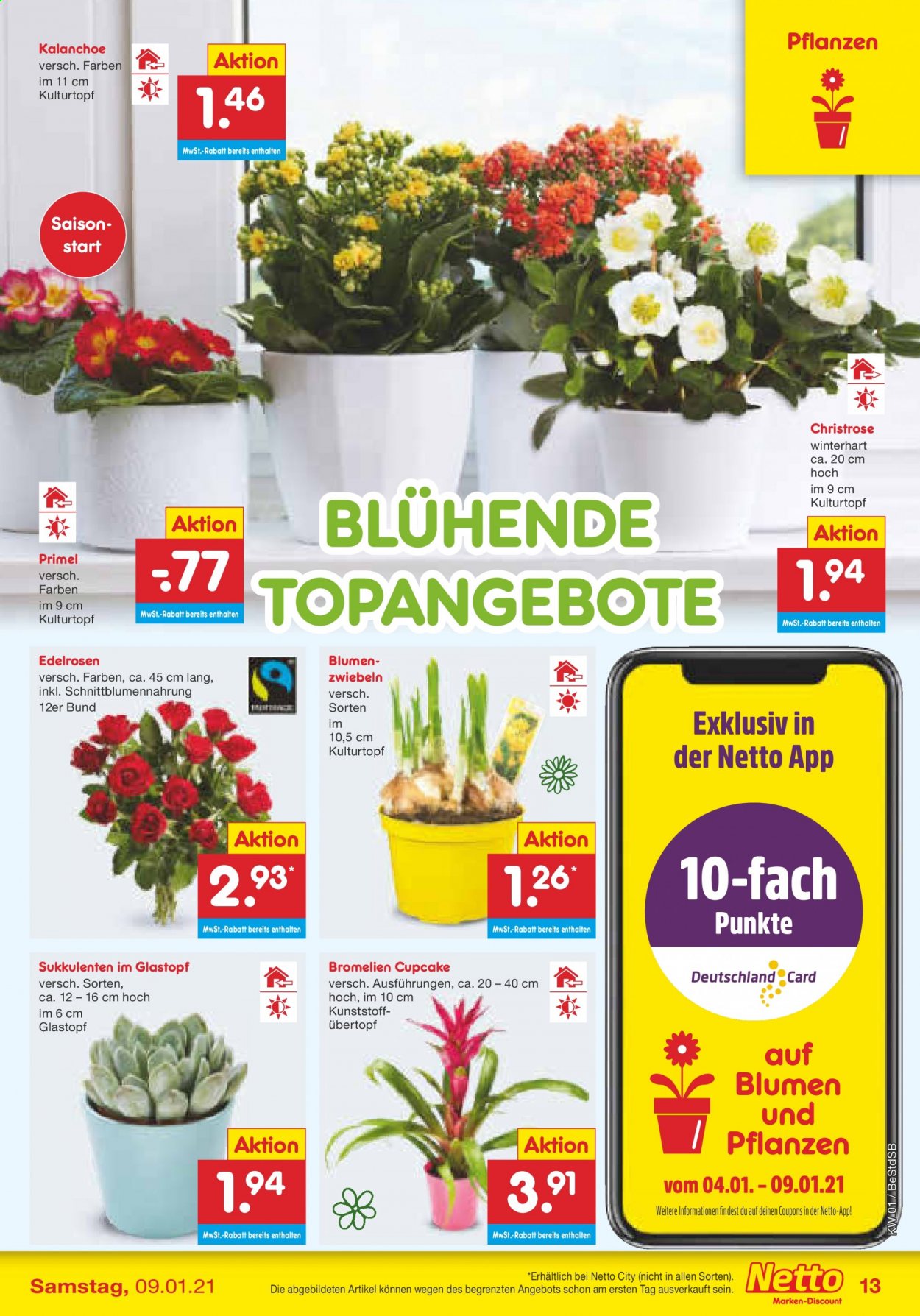 Netto Marken-Discount Prospekte  - 4.01.2021 - 9.01.2021. Seite 13