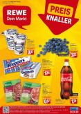 Prospekte REWE - 4.1.2021 - 9.1.2021.
