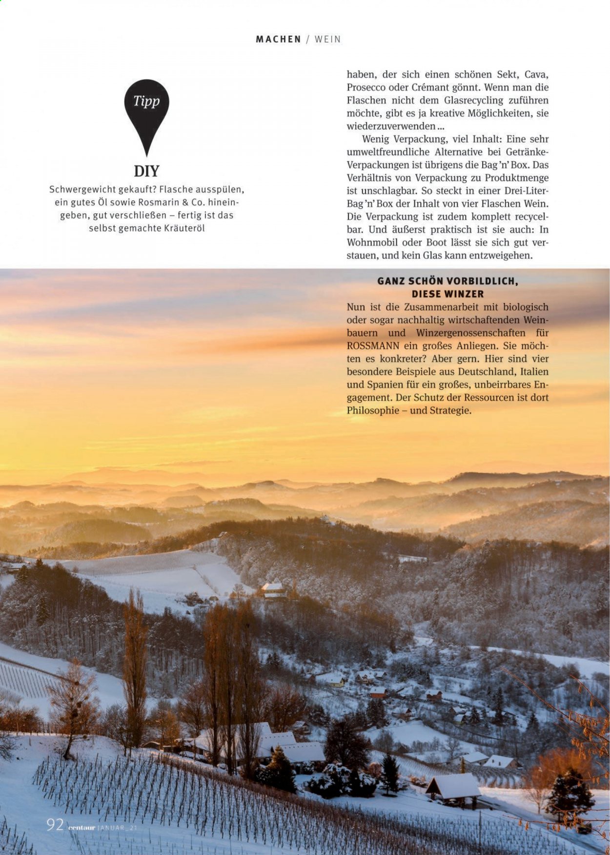 Rossmann Prospekte  - 1.01.2021 - 31.01.2021. Seite 92